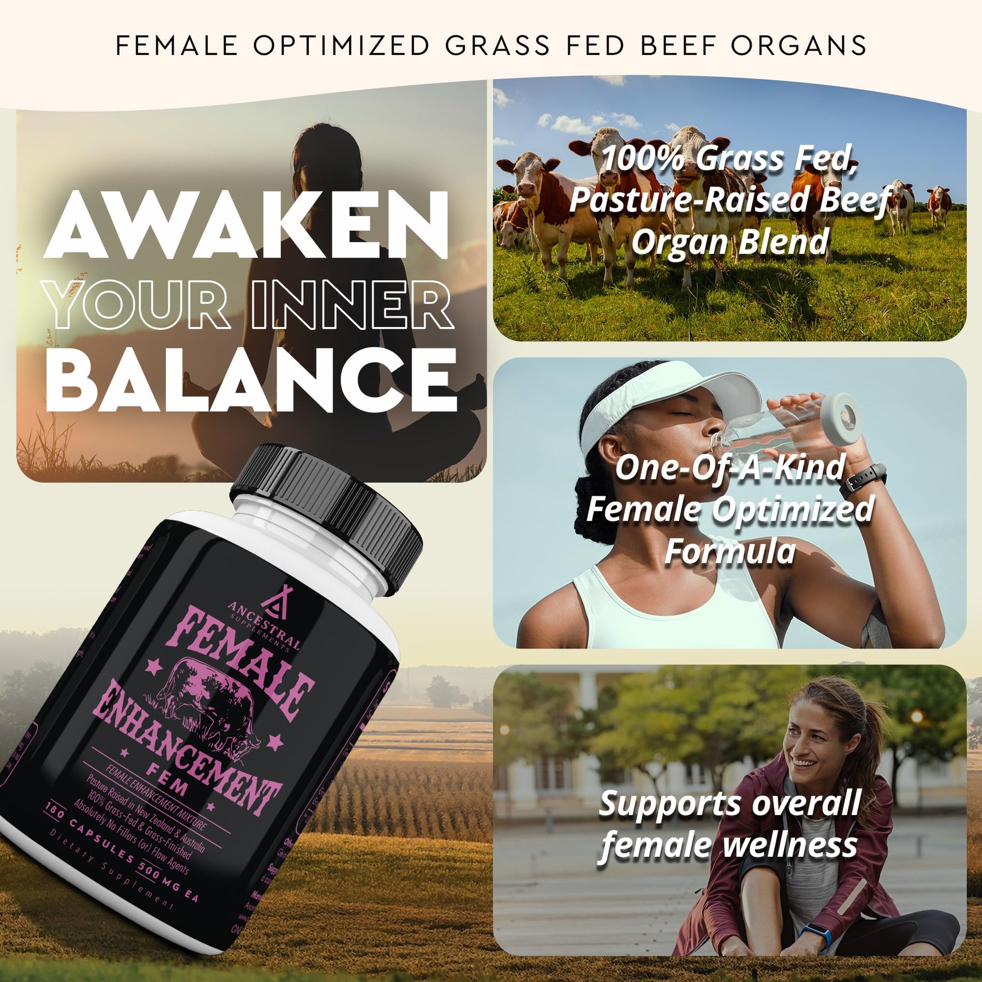 Beef Organ Supplement for Women – Supports Hormone Balance, Energy & Wellness – Grass Fed, Pasture Raised Superfood – Liver, Heart, Kidney, Bone Marrow – Collagen, CoQ10, B12 – Female Support Blend Ancestral Supplements uk supplements