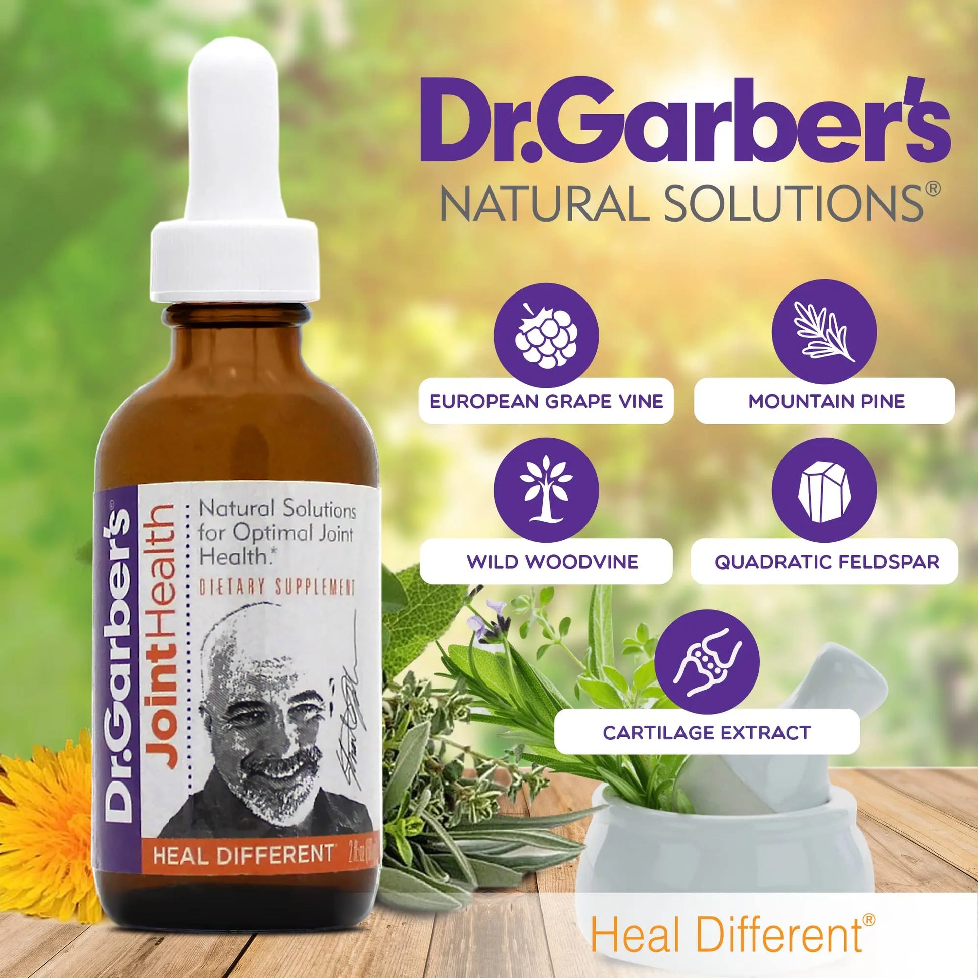 Dr. Garber's Natural Solutions Joint Health Oral Drops - Gemmotherapy Liquid Supplement for Healthy Joint Support & Function, Joint Repair, and Improved Mobility & Flexibility - 60ml DR.GARBER'S uk supplements
