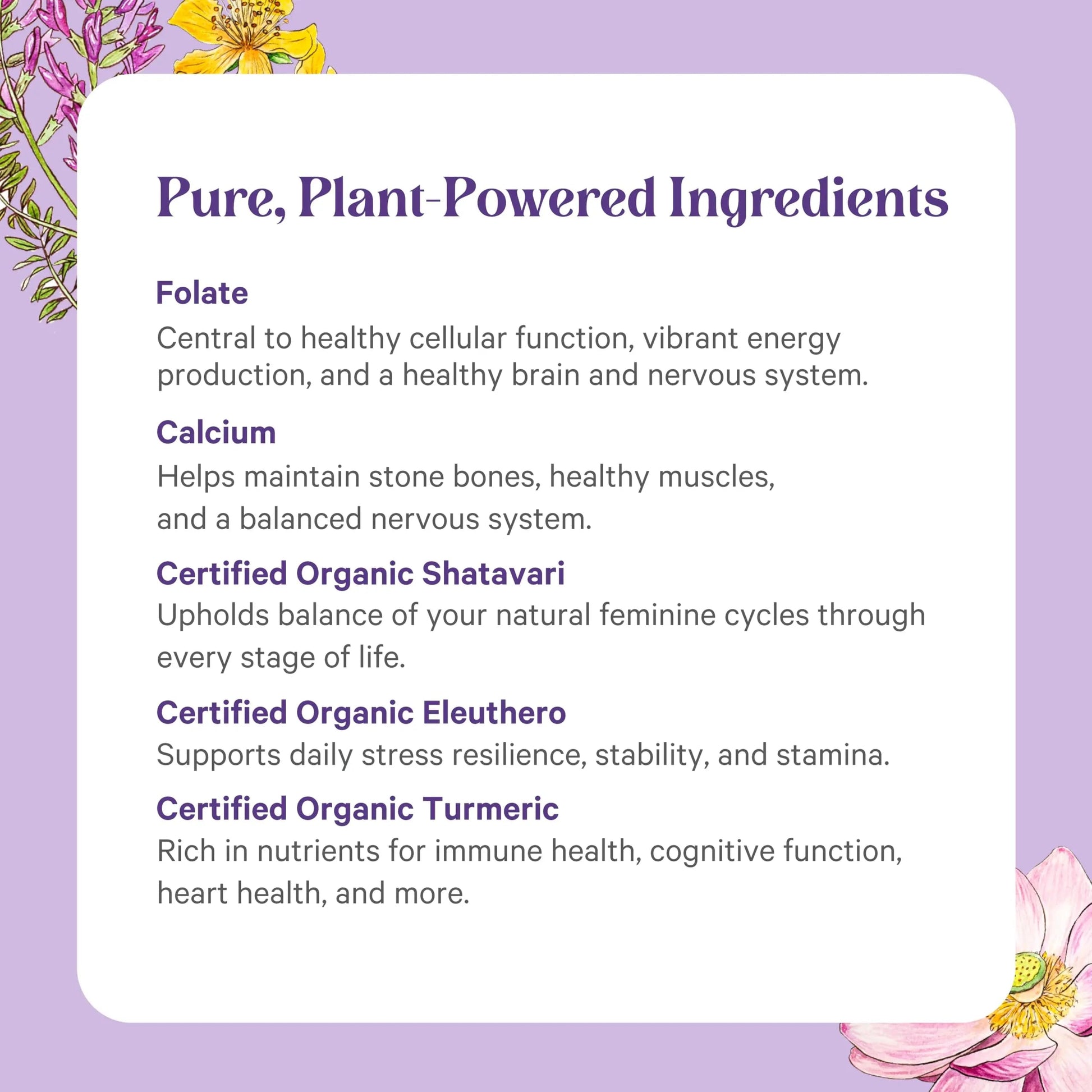 PURE SYNERGY Vita·Min·Herb for Women | Women’s Comprehensive Multivitamin Supplement | Made with Organic Whole Food Non-GMO & Vegan Ingredients | PURE SYNERGY uk supplements