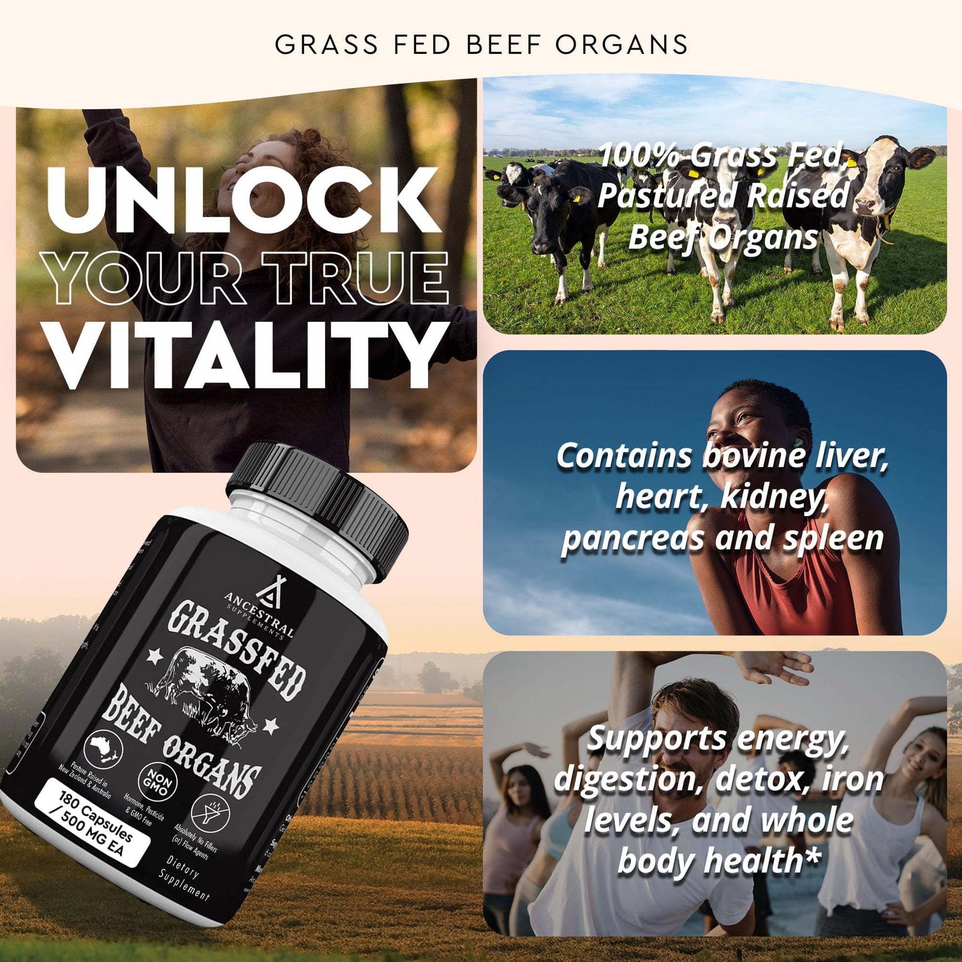 Ancestral Supplements Grass Fed Beef Organ Supplement, Supports Whole Body Wellness with Proprietary Blend of Liver, Heart, Kidney, Pancreas, Spleen, Freeze-Dried Beef, Non-GMO, 180 Capsules Ancestral Supplements uk supplements