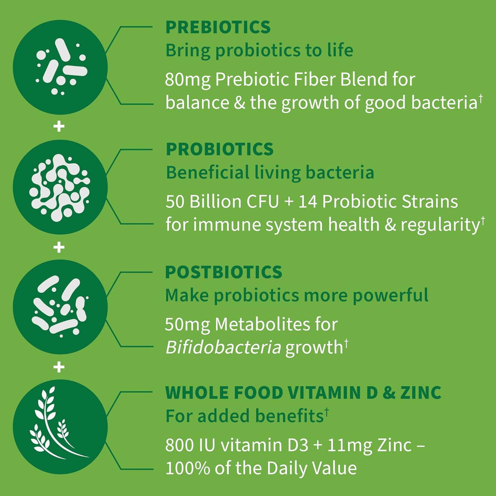 Garden of Life Dr. Formulated Pre, Post & Probiotics Immune Support with Prebiotics & Postbiotics – 50 Billion CFU, Gut & Digestive Health Support, Zinc & Vitamin D3, Vegan, 30 Day Supply Garden of Life uk supplements