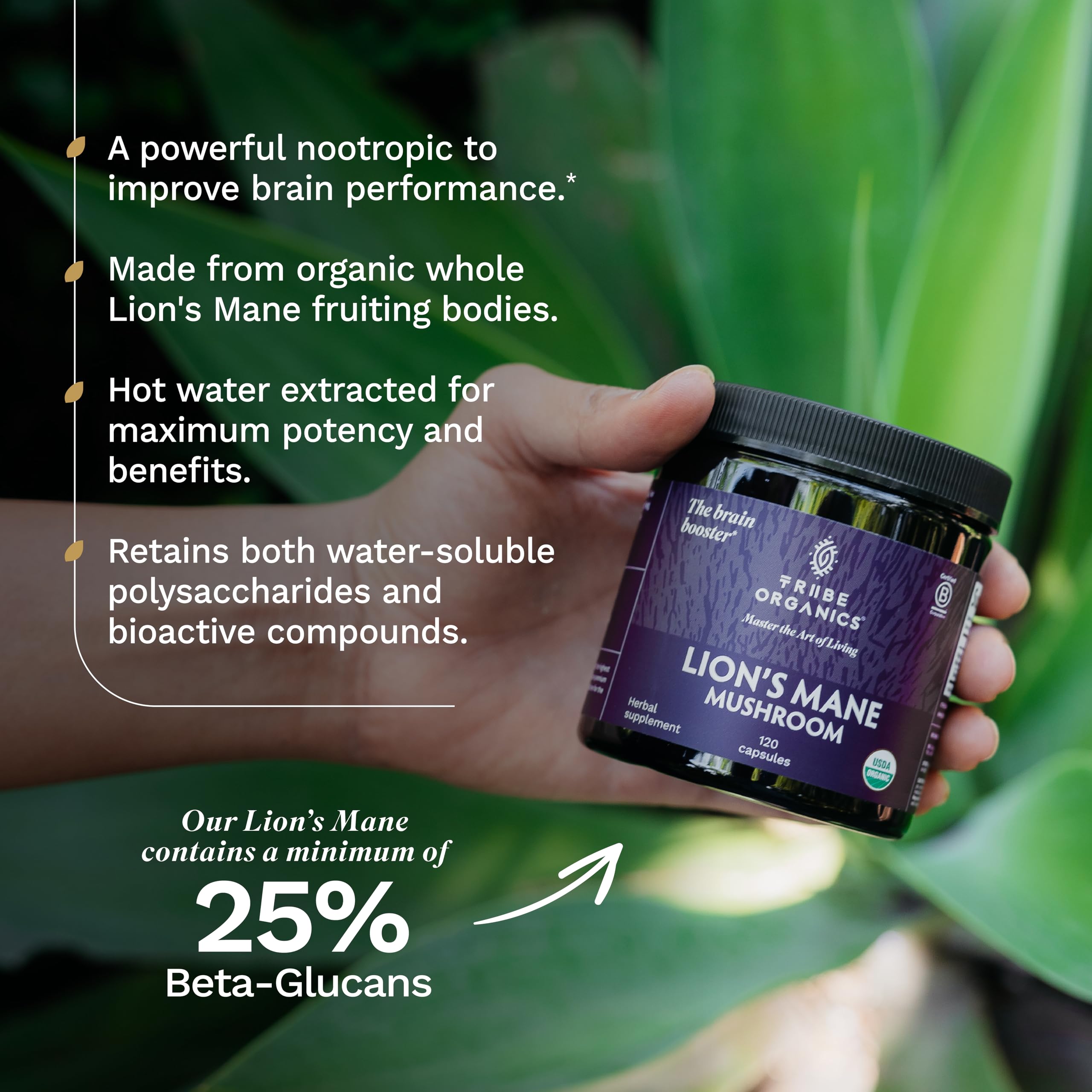 TRIBE ORGANICS Lion’s Mane Supplement 1000mg Mushroom Extract Powder - Immune System Booster & Brain Nootropic for Focus and Memory | Mental Clarity | Natural Energy and Immunity - 120 Vegan Capsules TRIBE ORGANICS uk supplements