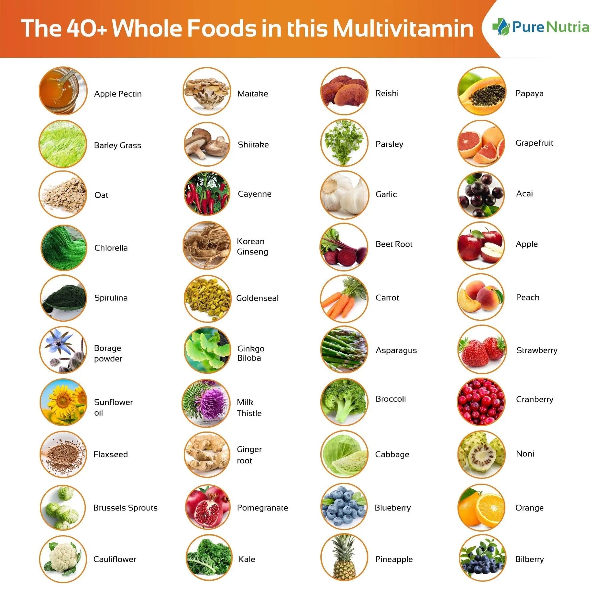 Whole Food MultiVitamin and Minerals with Probiotic Enzymes - 120 Multivitamins for Women and Men - Packed with WholeFood and Herbal Ingredients PureNutria uk supplements