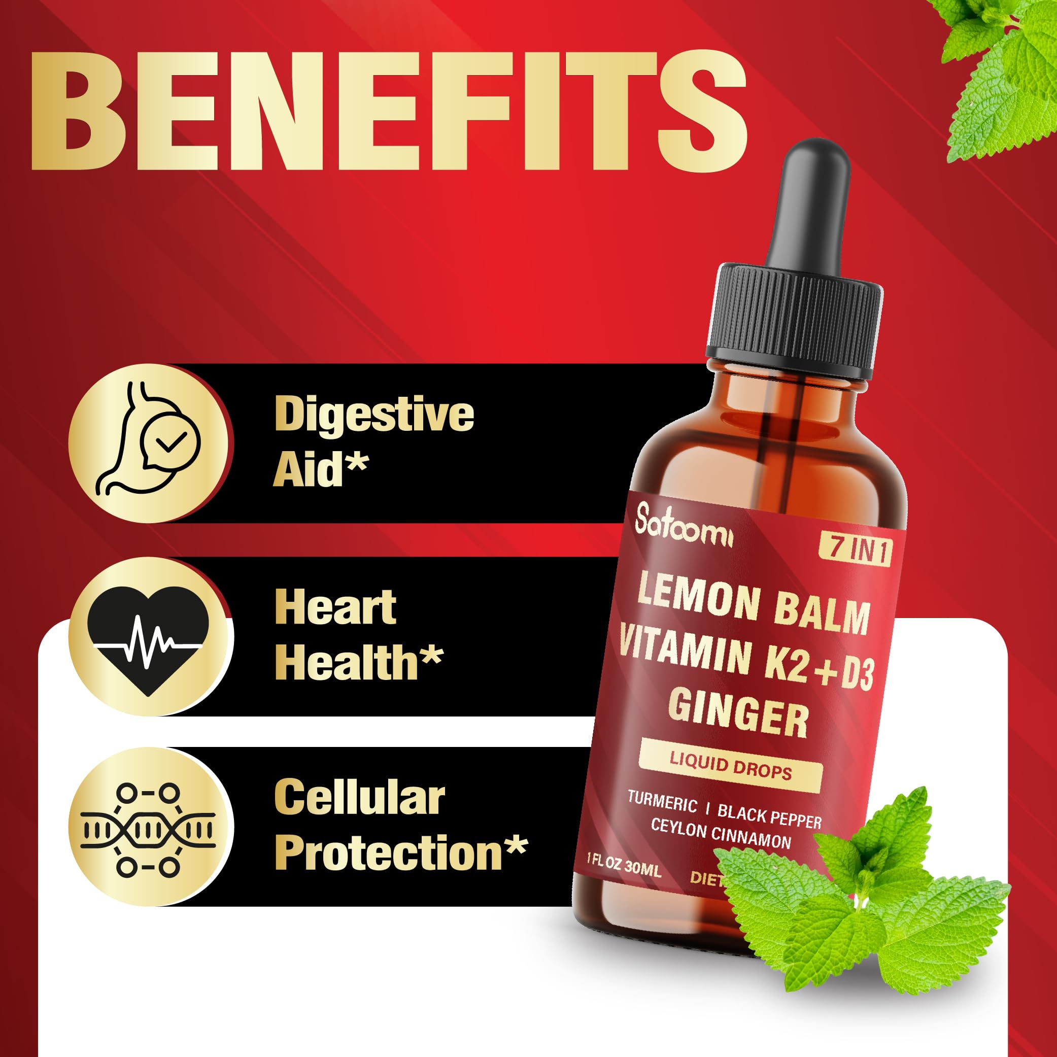 Satoomi 7in1 Lemon Balm Tincture with Vitamin D3, Vitamin K2, Ginger Root, Turmeric, Ceylon Cinnamon and Black Pepper - 1 FL Oz - 60 Day Supply Satoomi uk supplements