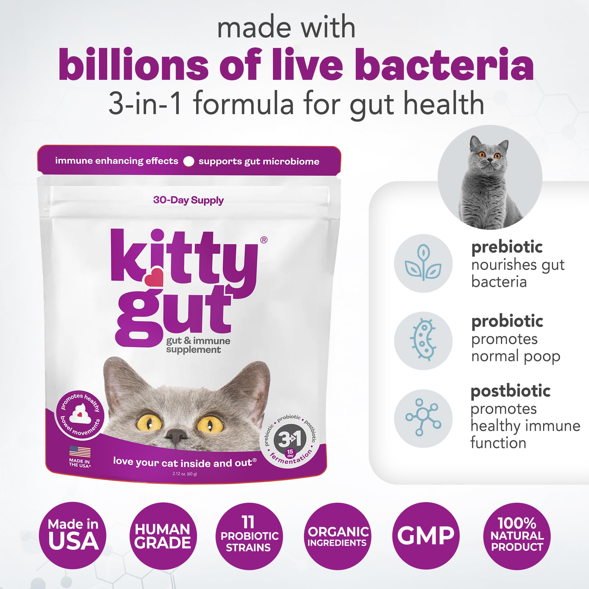 KittyGut 3-in-1 Organic Cat Probiotics & Postbiotic Supplement Powder- Made in USA-Probiotics for Cats Promote Gut Health and Cat Digestive Support, Diarrhea and Vomiting (60g) MUTTGUT uk supplements