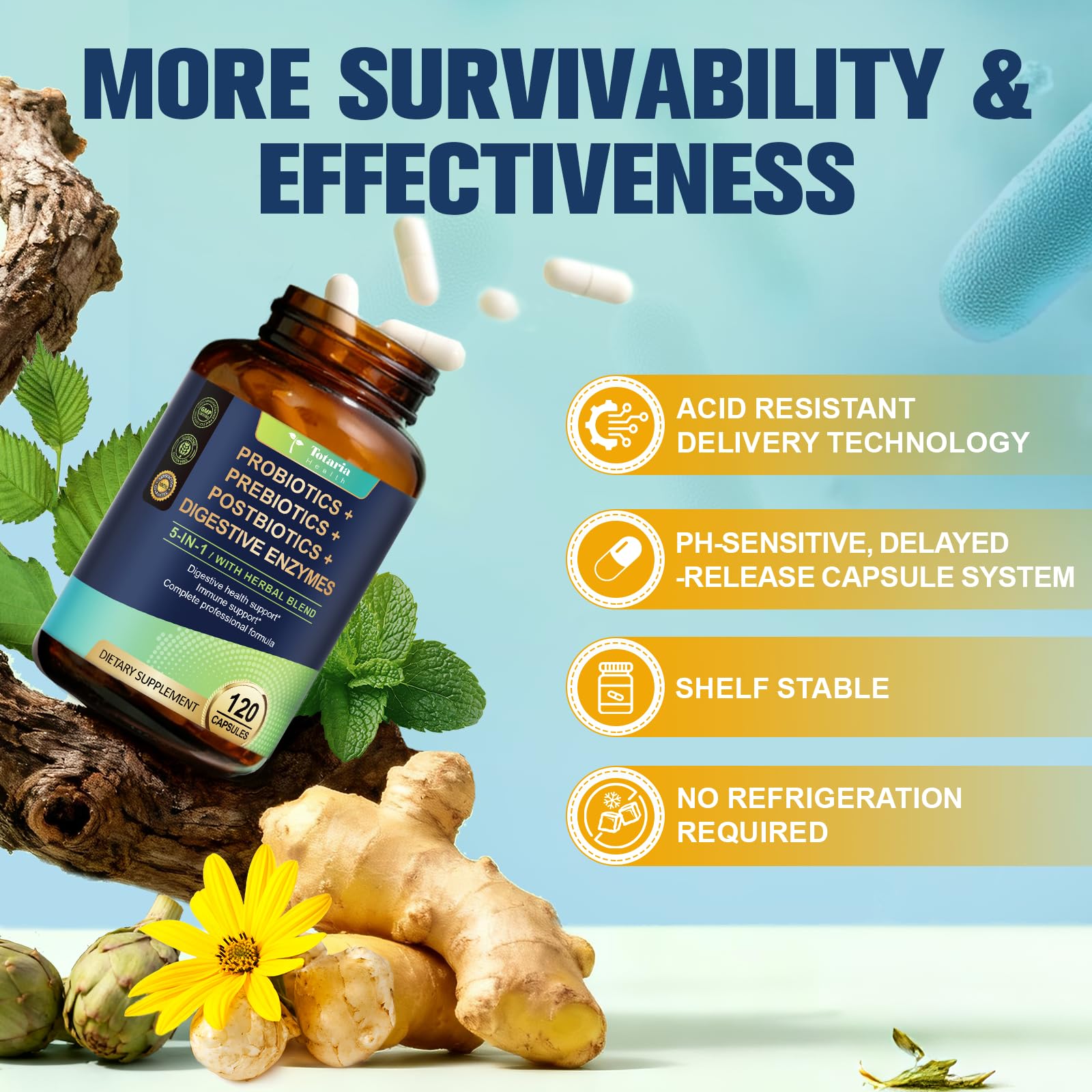 Totaria (2 Packs) 5-in-1 Probiotic Prebiotic & Postbiotic for Women Men, 60 Billion CFU 24 Strains w/Digestive Enzymes, Slippery Elm, Daily Complete Gut Health, Digestive & Immune Support Totaria uk supplements