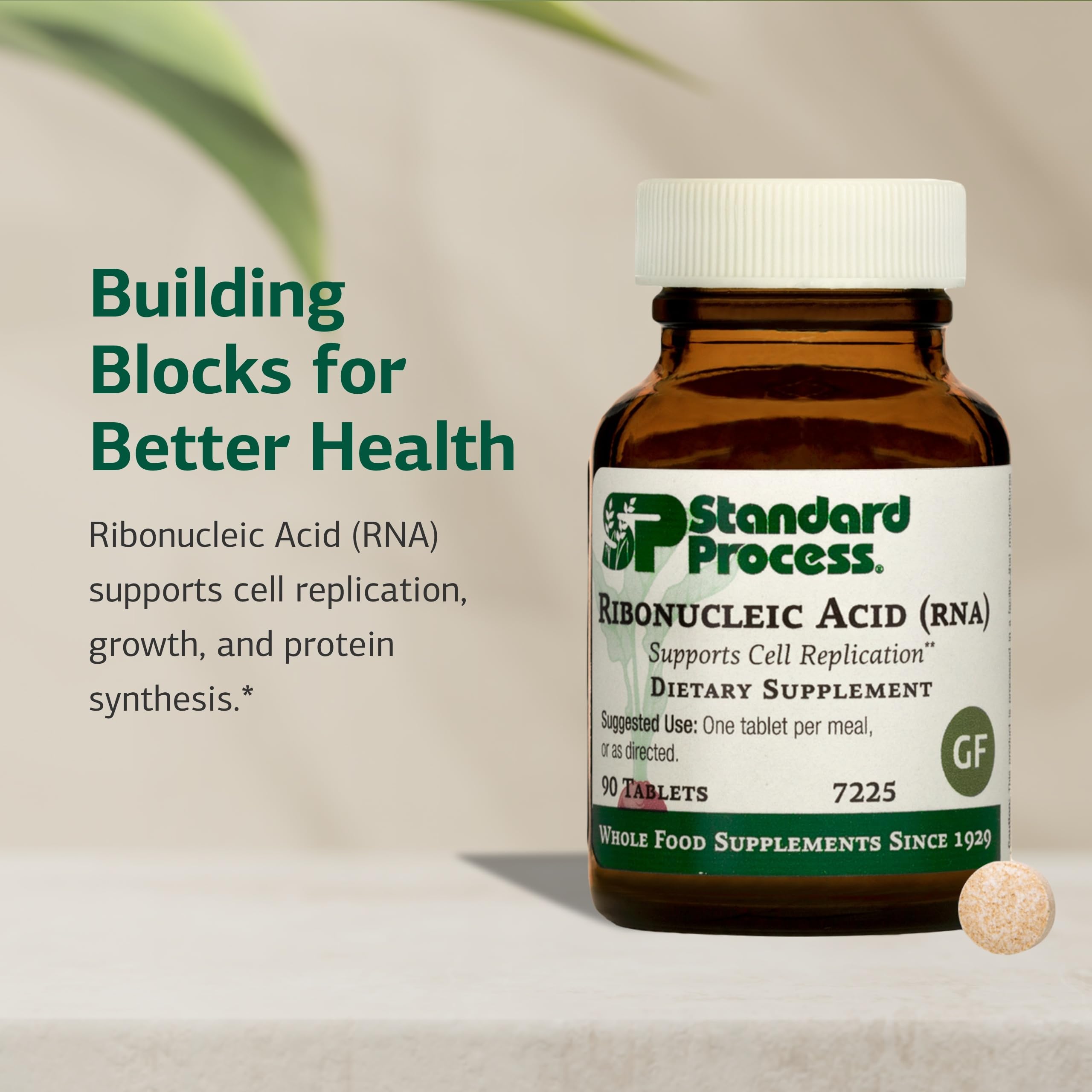 Standard Process Ribonucleic Acid RNA - Cell Development Support - Aids Protein Synthesis - Vegan, Gluten-Free, Non-Soy, & Non-Grain - 90 Tablets (90 Servings) Standard Process Inc. uk supplements