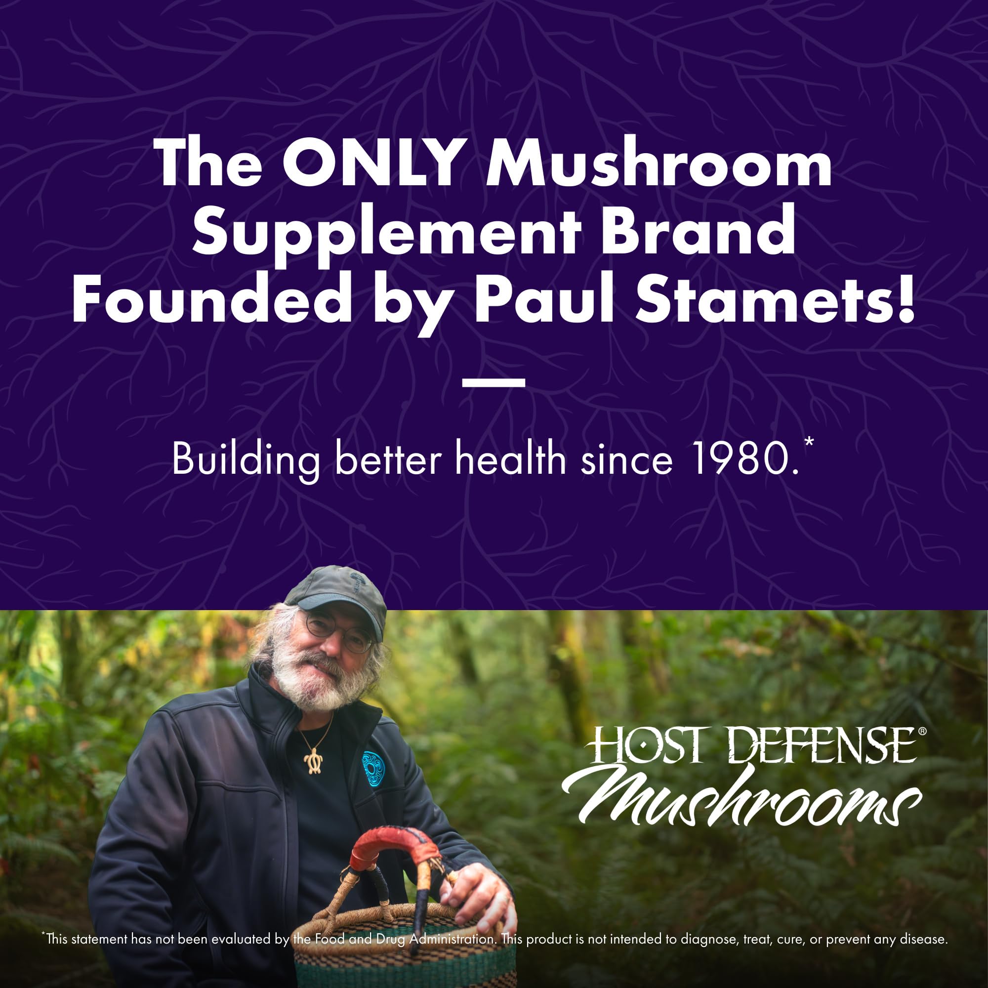 Host Defense MycoBotanicals Brain* Capsules - Brain Support Supplement with Lion's Mane, Reishi & Cordyceps Mushroom - Herbal Supplement for Memory & Focus Support - 60 Capsules Host Defense uk supplements
