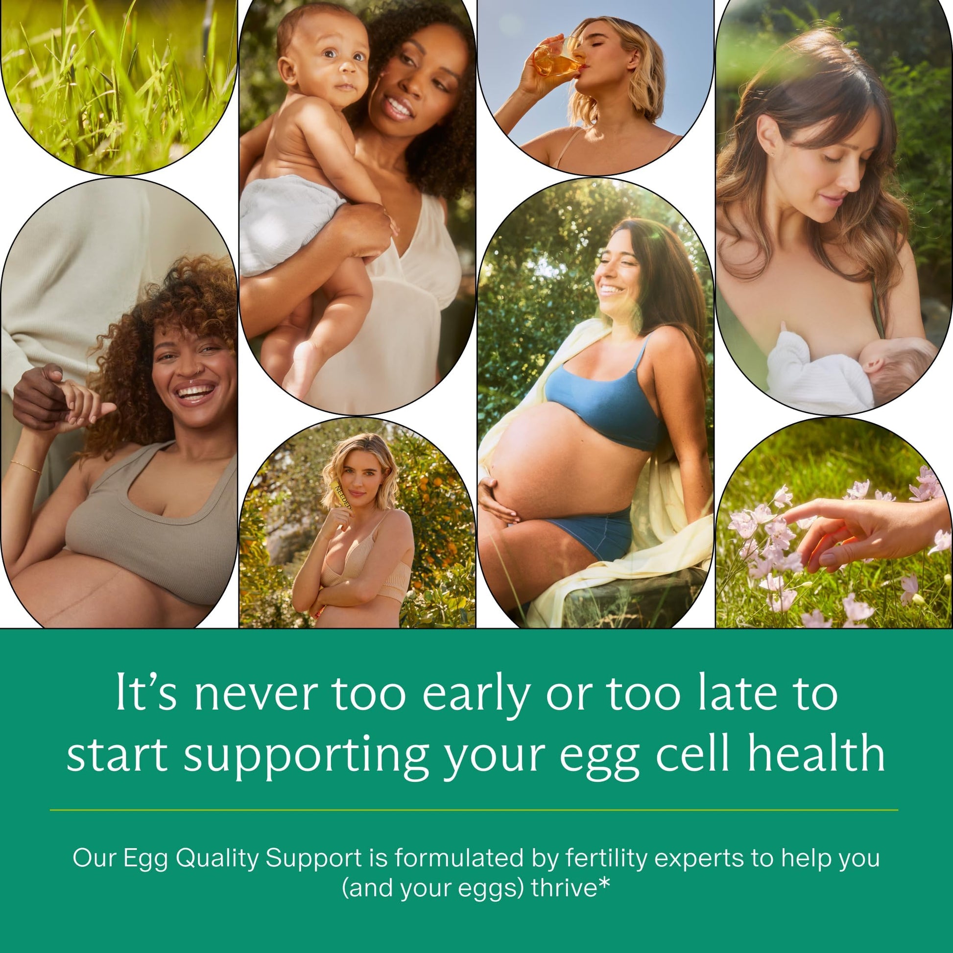 Needed. Egg Quality Support - Optimally Formulated Antioxidants Supplement for Egg Quality - Fertility Support - Fertility Supplement for Women Needed. uk supplements