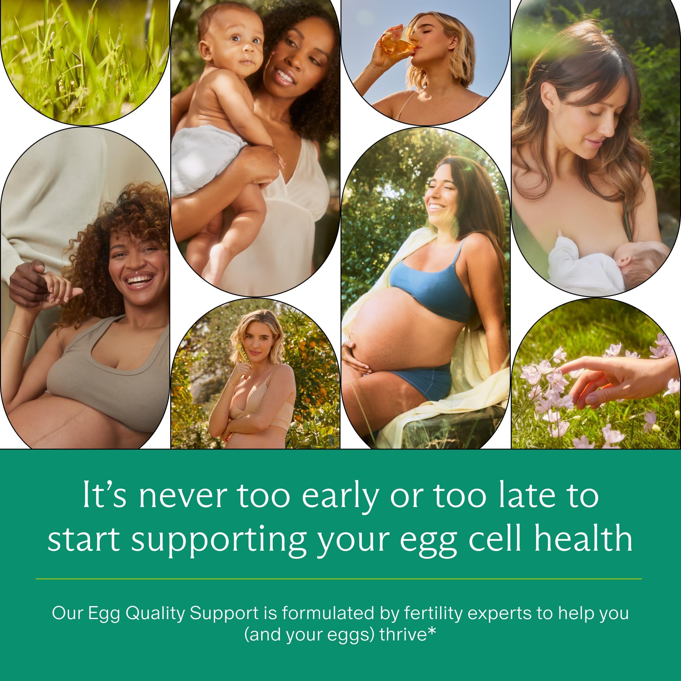 Needed. Egg Quality Support - Optimally Formulated Antioxidants Supplement for Egg Quality - Fertility Support - Fertility Supplement for Women Needed. uk supplements
