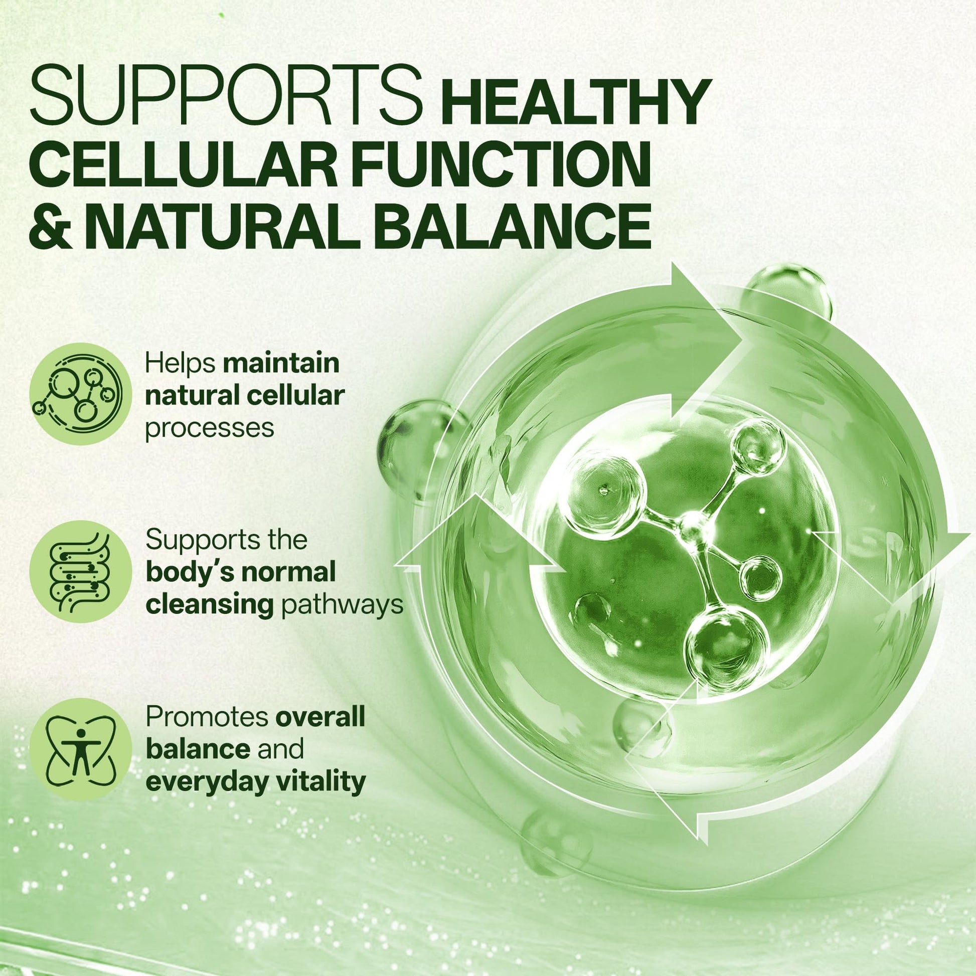 Liposomal Sulforaphane 500mg Supplement from Broccoli Extract with Quercetin, Black Pepper & Vitamin C – Antioxidant, Detox & Cellular Support, Cellular Health Formula for Men & Women, 60 Capsules inGreens uk supplements