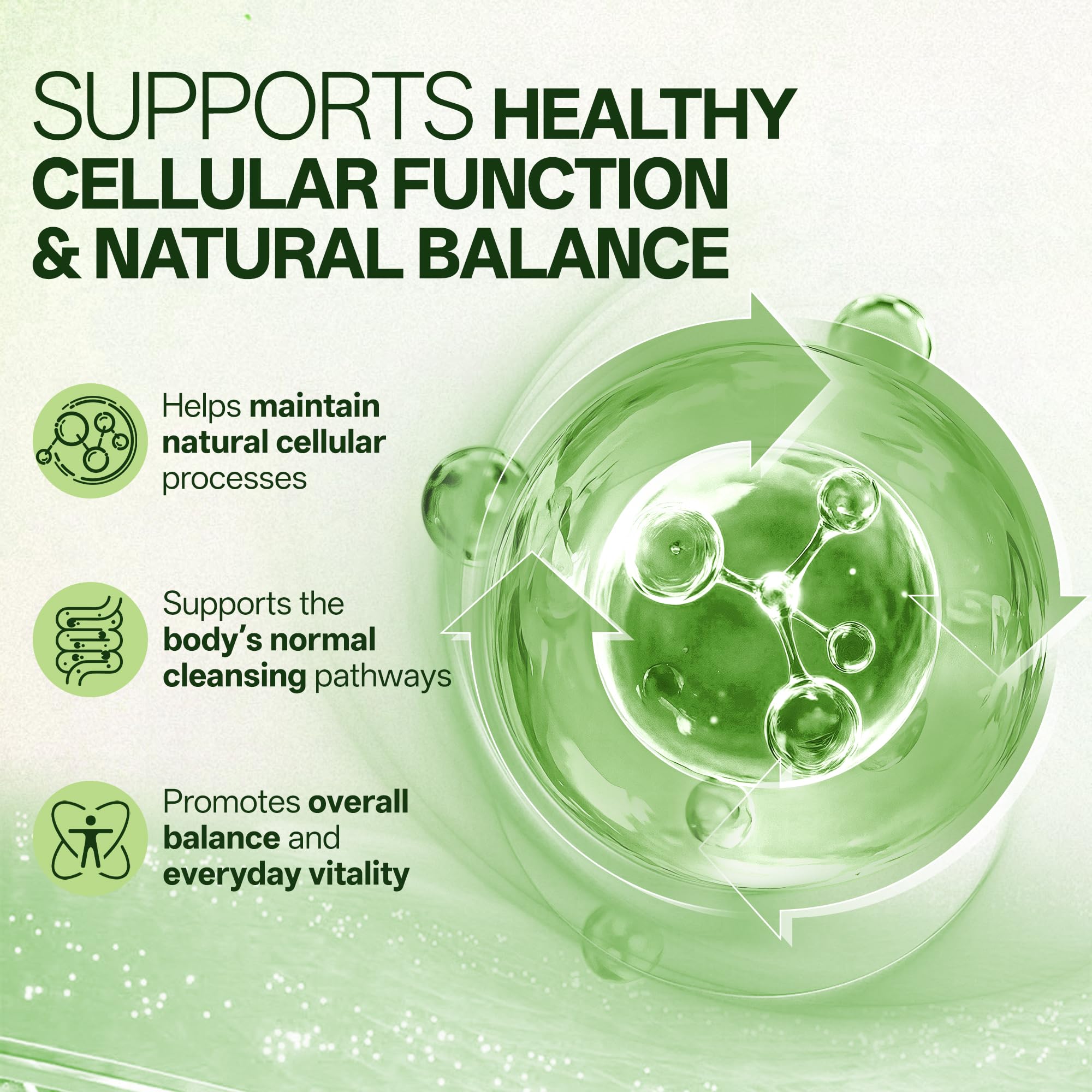 Liposomal Sulforaphane 500mg Supplement from Broccoli Extract with Quercetin, Black Pepper & Vitamin C – Antioxidant, Detox & Cellular Support, Cellular Health Formula for Men & Women, 60 Capsules inGreens uk supplements