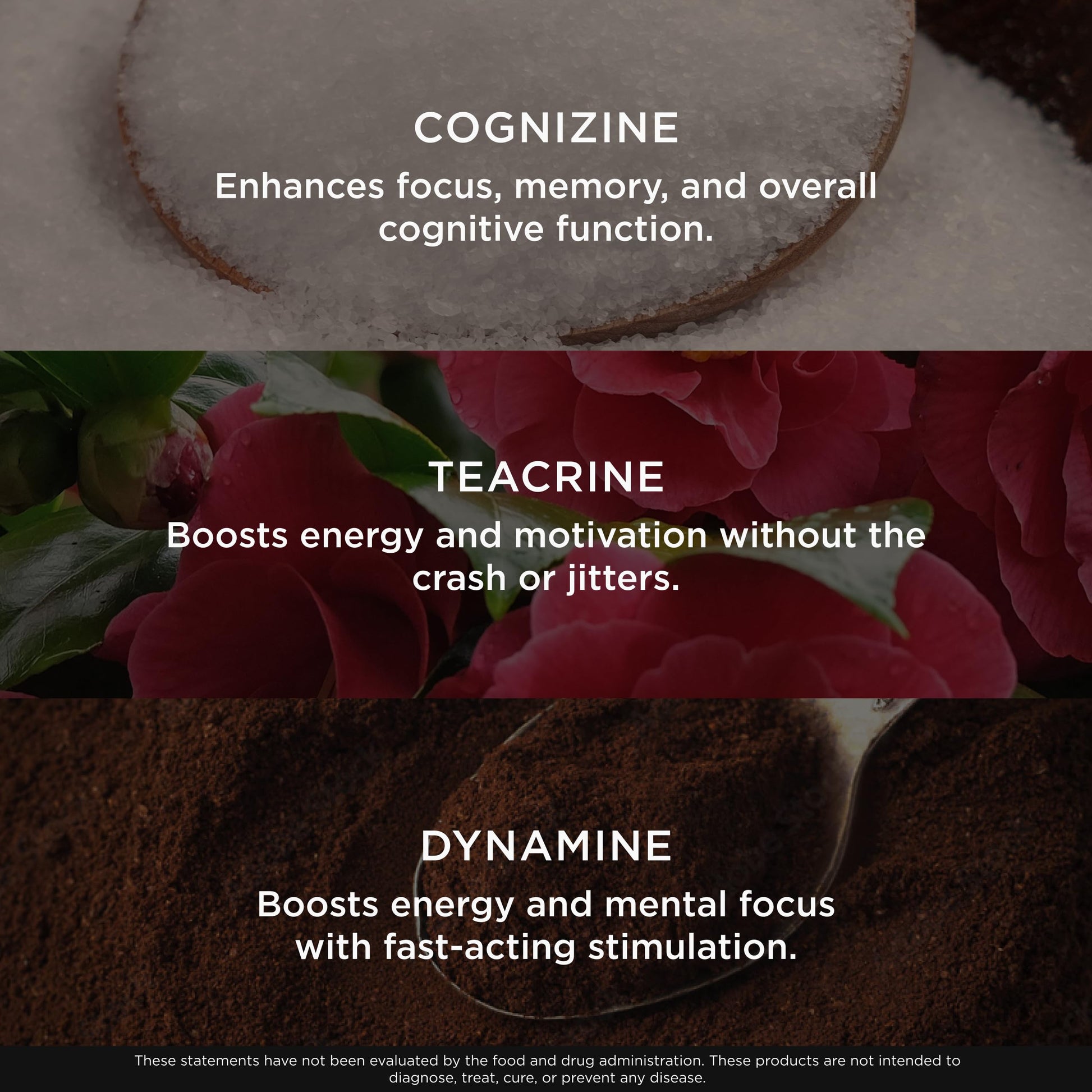 Genius Gamer, Gaming Focus Supplement, 80 Pills - Elite Nootropic Performance Booster - Boost Brain & Mental Clarity, Reaction Time & Concentration - Blue Light Support with Lutemax The Genius Brand uk supplements