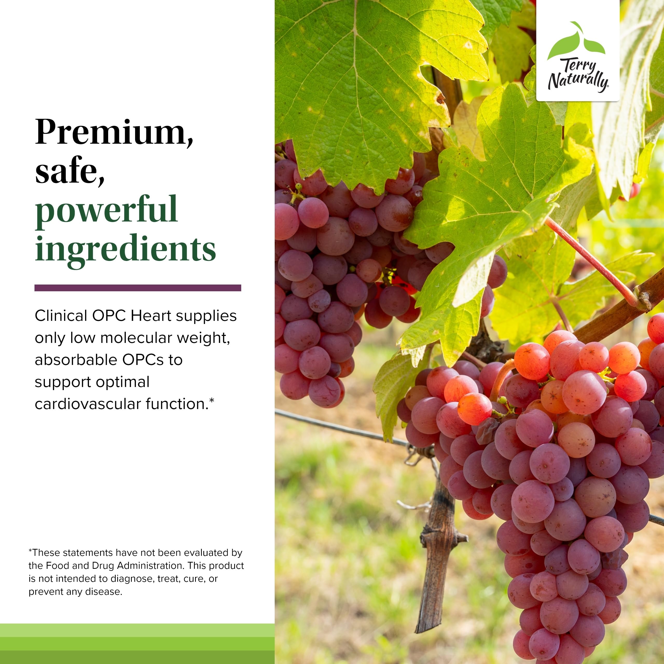 Terry Naturally Clinical OPC Heart - Heart Health Supplement with Magnesium, Vitamin B6, Grape Seed Extract - Dietary Supplement for Artery Health & Circulation - 60 Capsules Terry Naturally uk supplements
