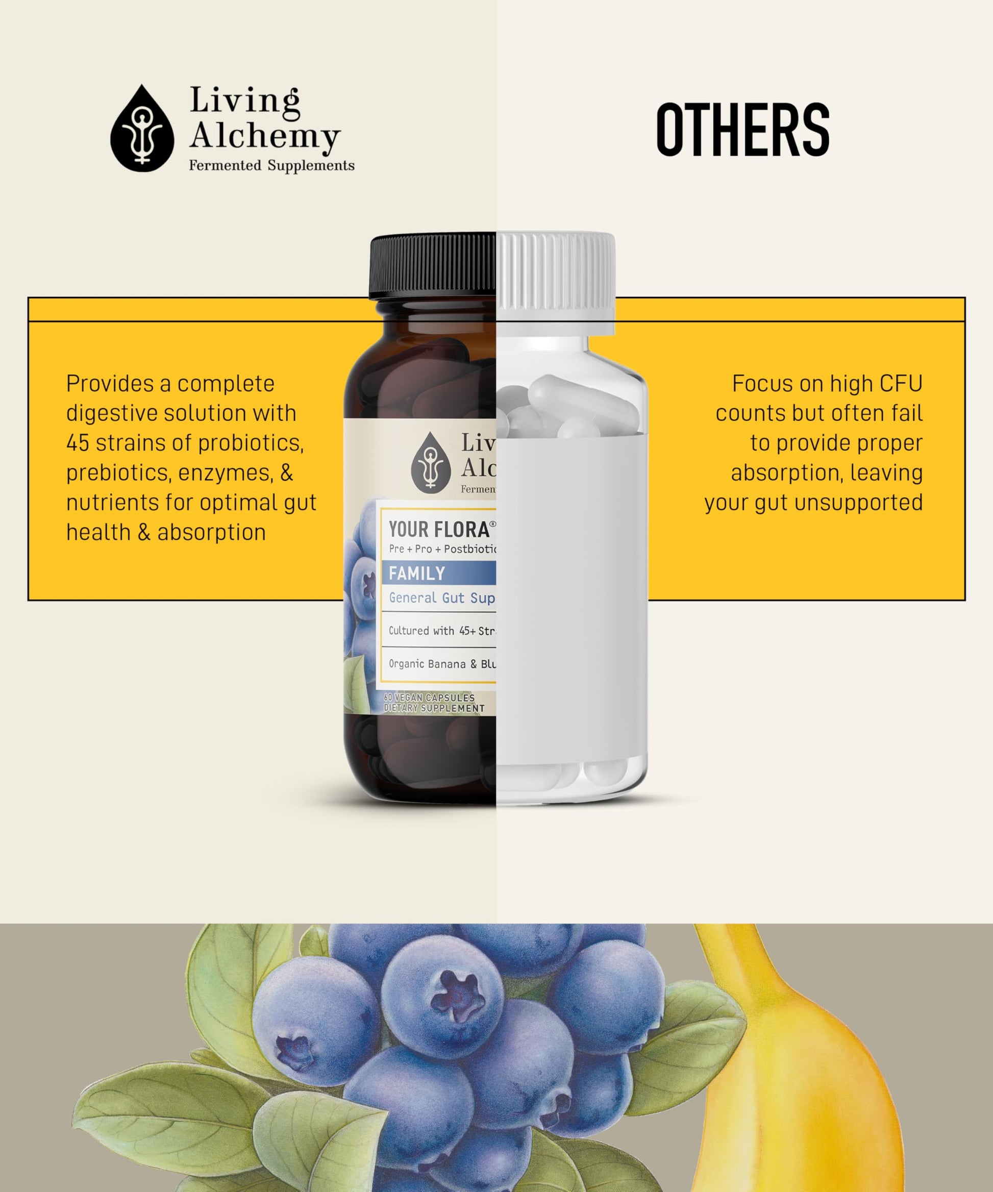 Your Flora Probiotic Family – Non-GMO Probiotics with Fermented Soybean, Banana, & Blueberry for Digestion & Gut Support – Prebiotics, Postbiotics, Digestive Enzymes – Living Alchemy, 60 Capsules Living Alchemy uk supplements