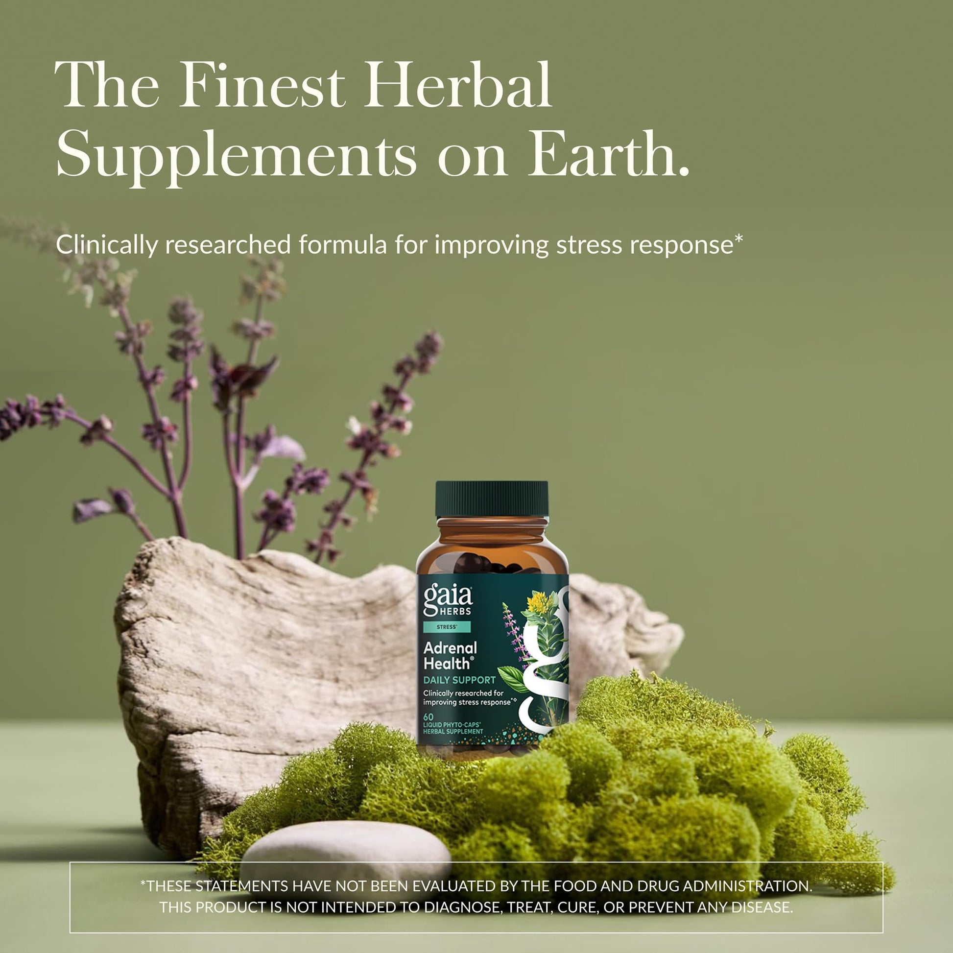 Gaia Herbs Adrenal Health Daily Support - Herbal Supplement with Ashwagandha, Holy Basil & Schisandra - Help Maintain Healthy Energy & Stress Levels* - 60 Vegan Liquid Phyto-Caps (30 Servings) Gaia Herbs uk supplements