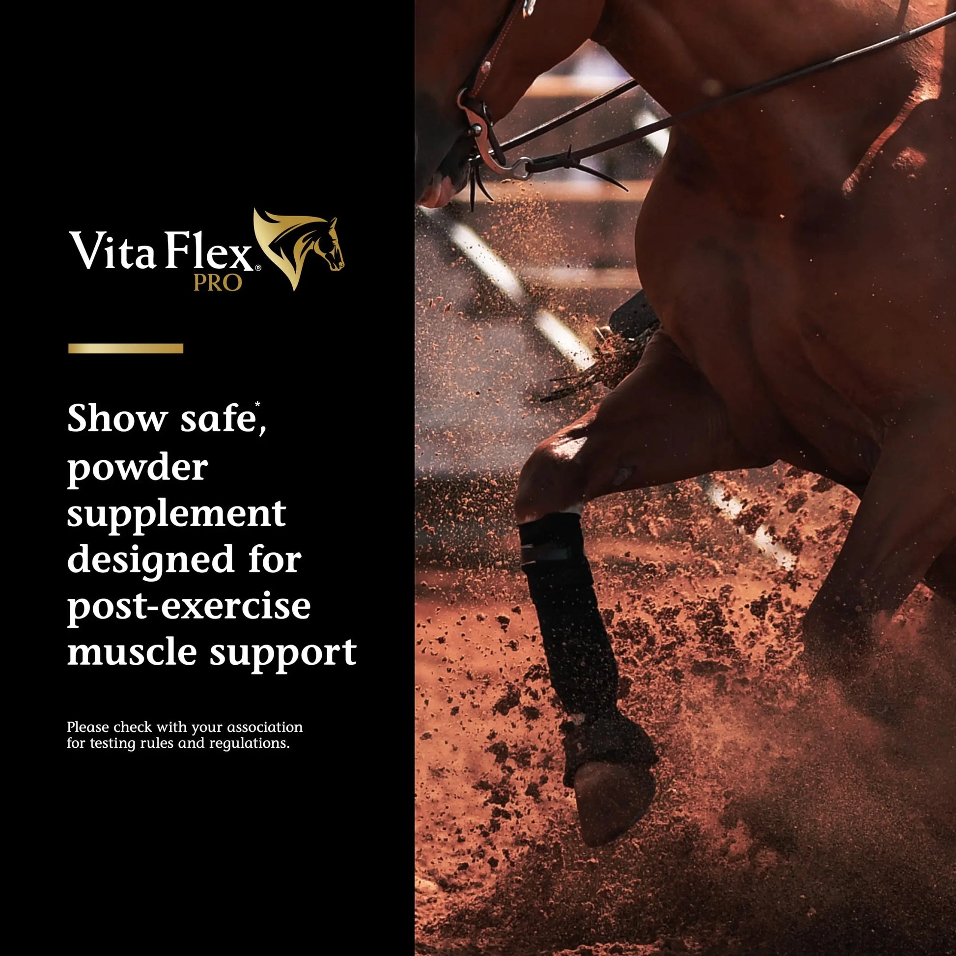 Vita Flex Pro Recovery by the Makers of Lactanase, Post Performance Horse Supplements 40 g, Show Safe Muscle Recovery Supplements, Amino Acids for Horses, Strength & Joint Health Vita Flex uk supplements