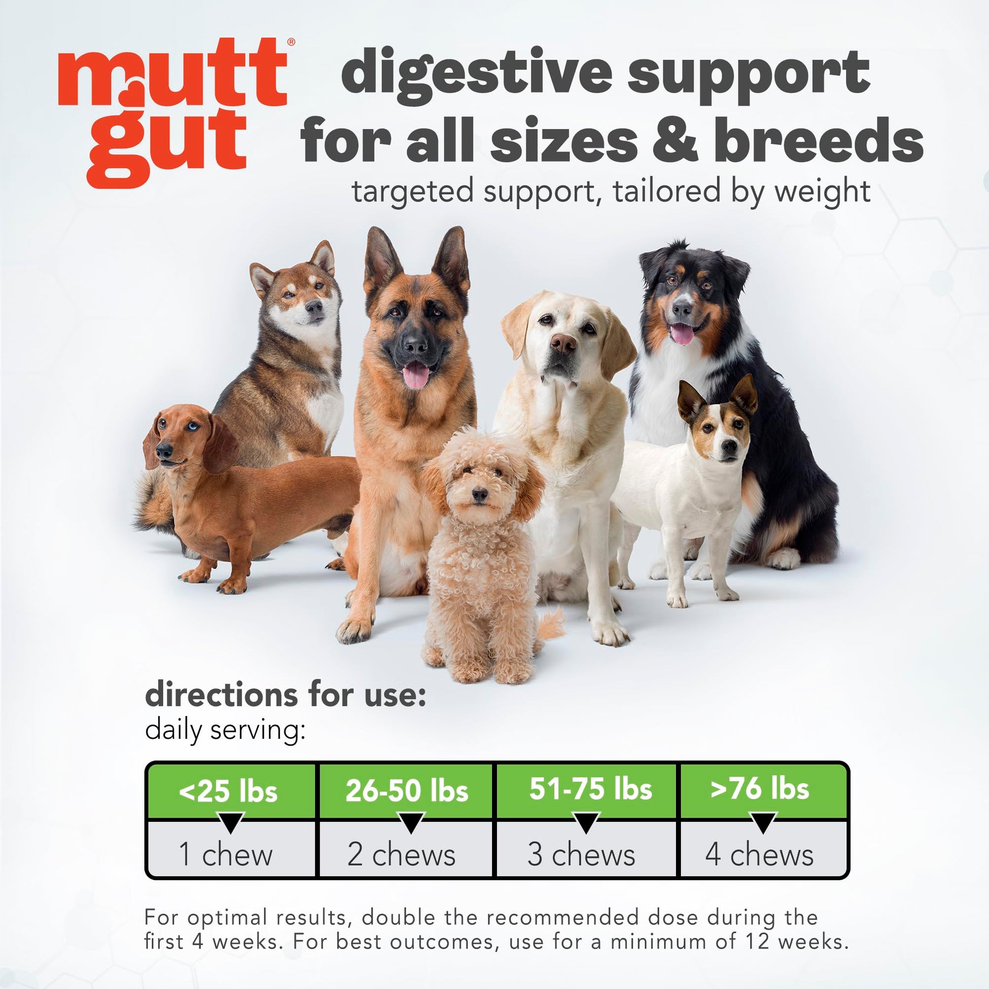 MuttGut® 3-in-1 Puppy & Dog Probiotics + Prebiotics + Postbiotics Chews - Promotes Digestive Health, Supports Immune System and Overall Health - Dog Diarrhea Relief & Immune Support - 60 Soft Chews MUTTGUT uk supplements