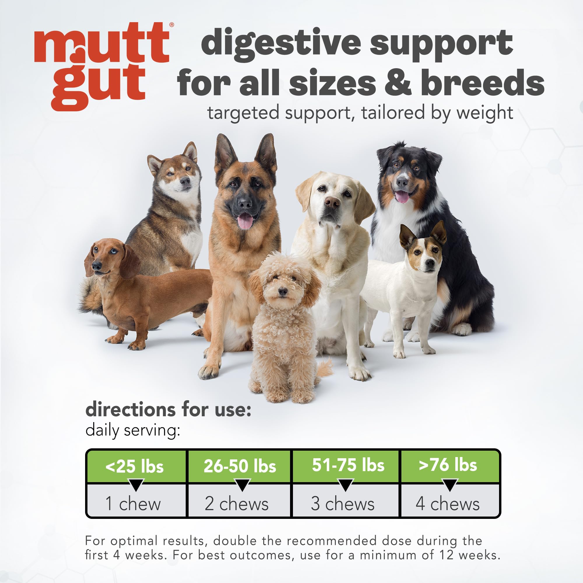 MuttGut® 3-in-1 Puppy & Dog Probiotics + Prebiotics + Postbiotics Chews - Promotes Digestive Health, Supports Immune System and Overall Health - Dog Diarrhea Relief & Immune Support - 60 Soft Chews MUTTGUT uk supplements