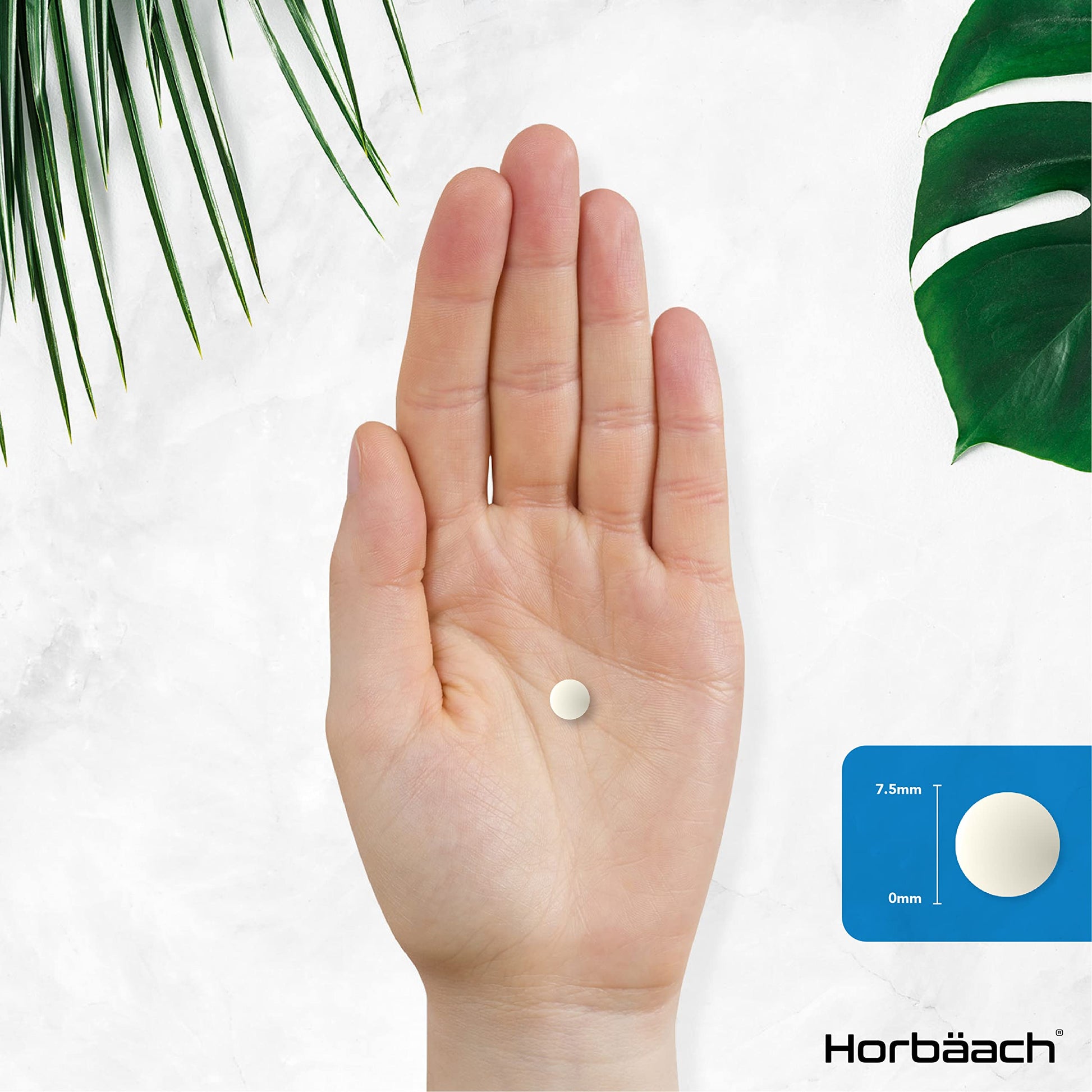 Vitamin K2 MK7 200ug | 365 Vegan Tablets | High Strength Menaquinone MK-7 Horbäach uk supplements