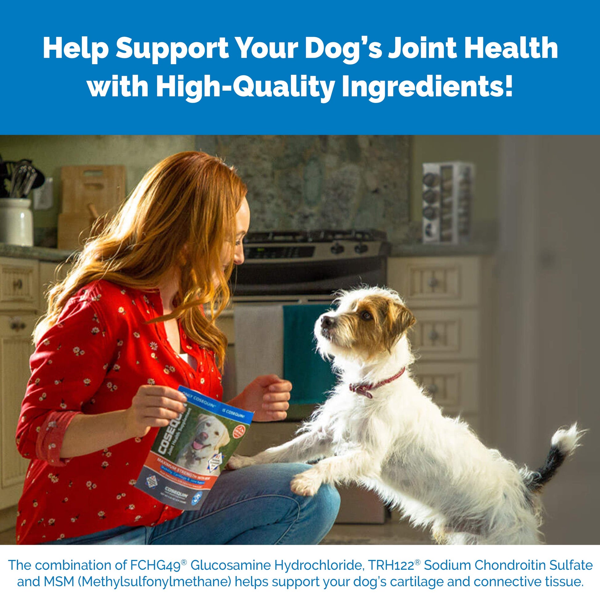 Nutramax Laboratories Cosequin Maximum Strength Joint Health Supplement for Dogs Nutramax Laboratories uk supplements