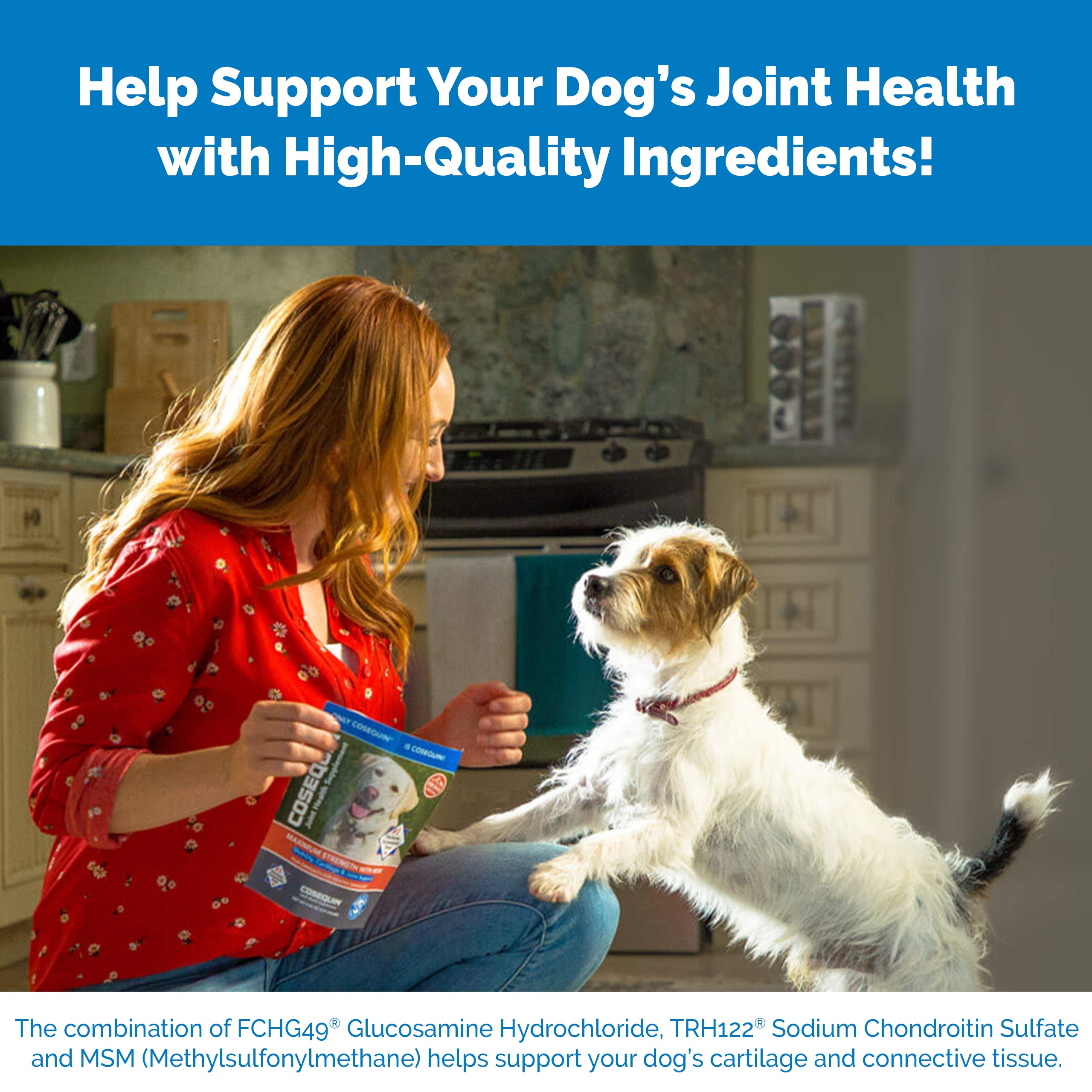 Nutramax Laboratories Cosequin Maximum Strength Joint Health Supplement for Dogs Nutramax Laboratories uk supplements