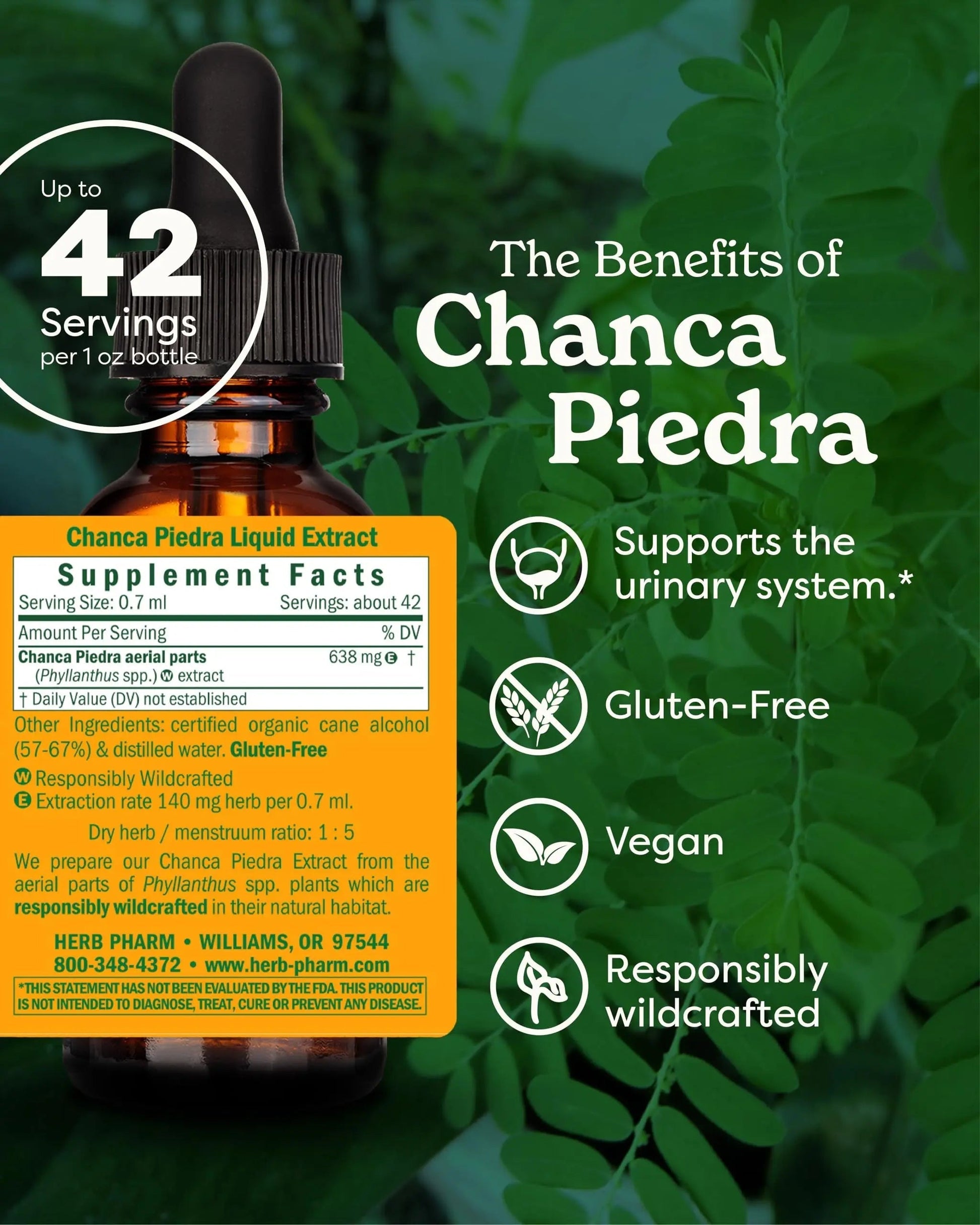 Herb Pharm Chanca Piedra Liquid Extract for Urinary System Support, 1 Fl Oz Herb Pharm uk supplements