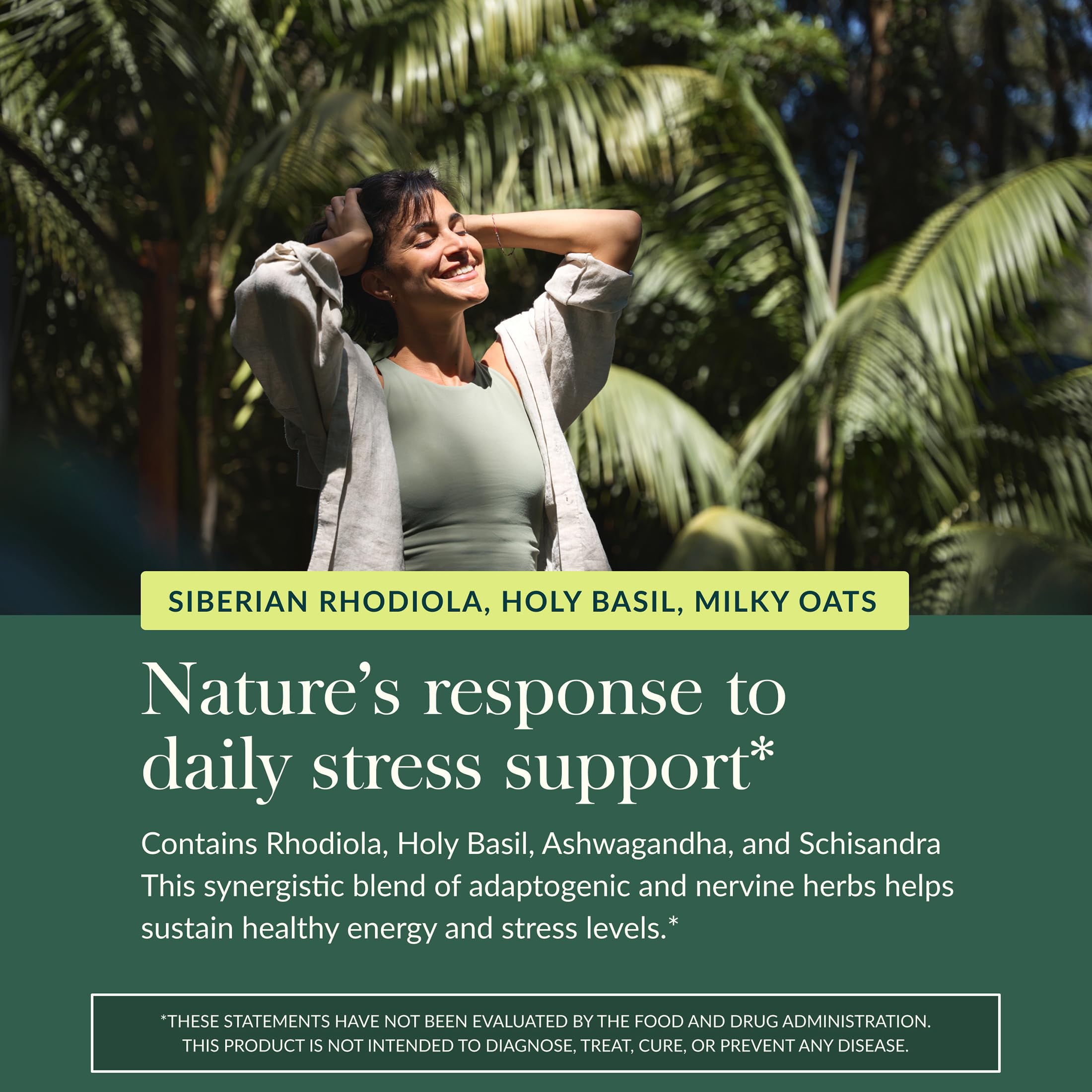 Gaia Herbs Adrenal Health Daily Support - Herbal Supplement with Ashwagandha, Holy Basil & Schisandra - Help Maintain Healthy Energy & Stress Levels* - 60 Vegan Liquid Phyto-Caps (30 Servings) Gaia Herbs uk supplements