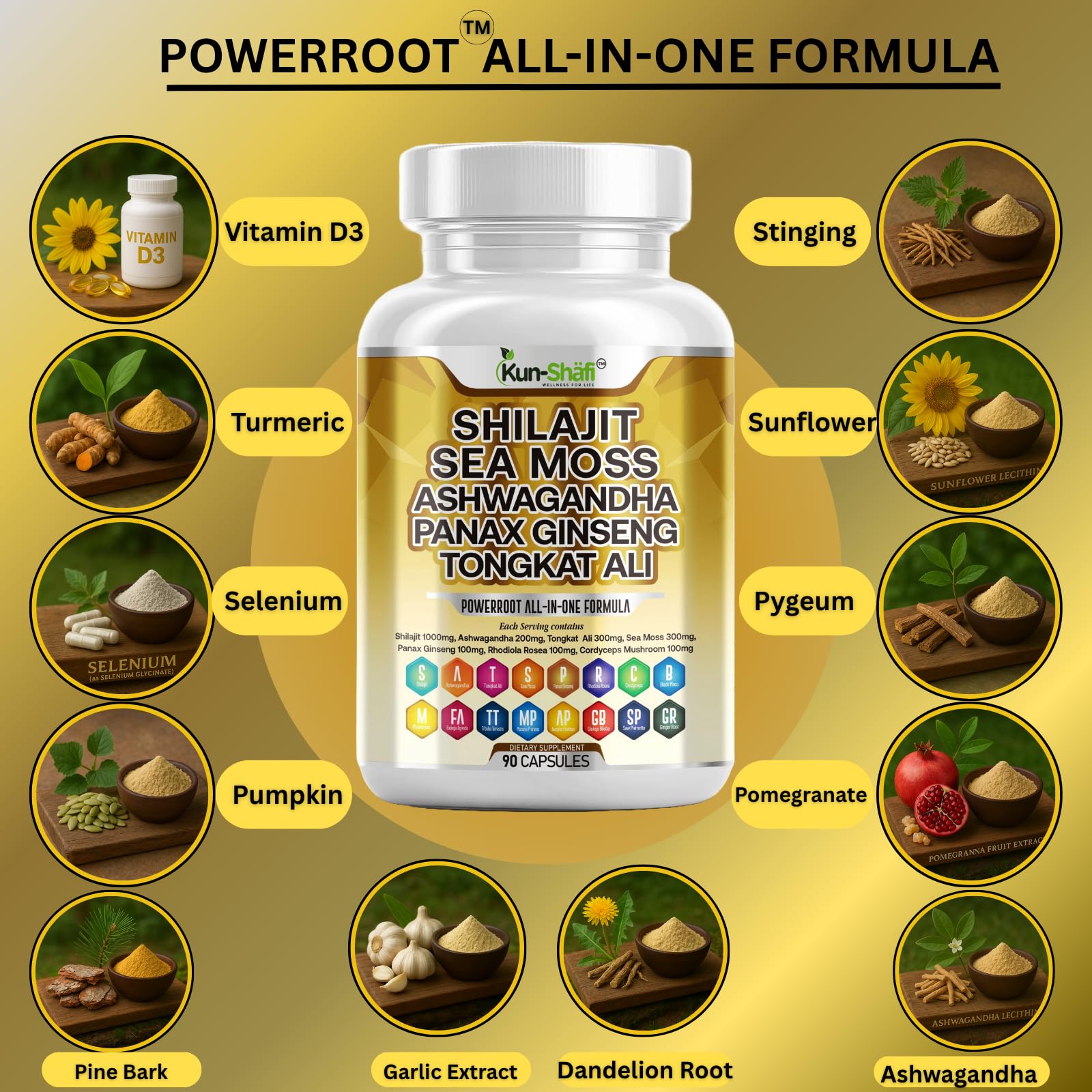 Kun Shafi Shilajit Complex – Sea Moss, Tongkat Ali, Ashwagandha, Ginseng, Zinc, CoQ10, PQQ & Magnesium – Fulvic Acid Capsules for Energy, Vitality & Performance with Panax Cordyceps – 90 Capsules Kun Shafi uk supplements
