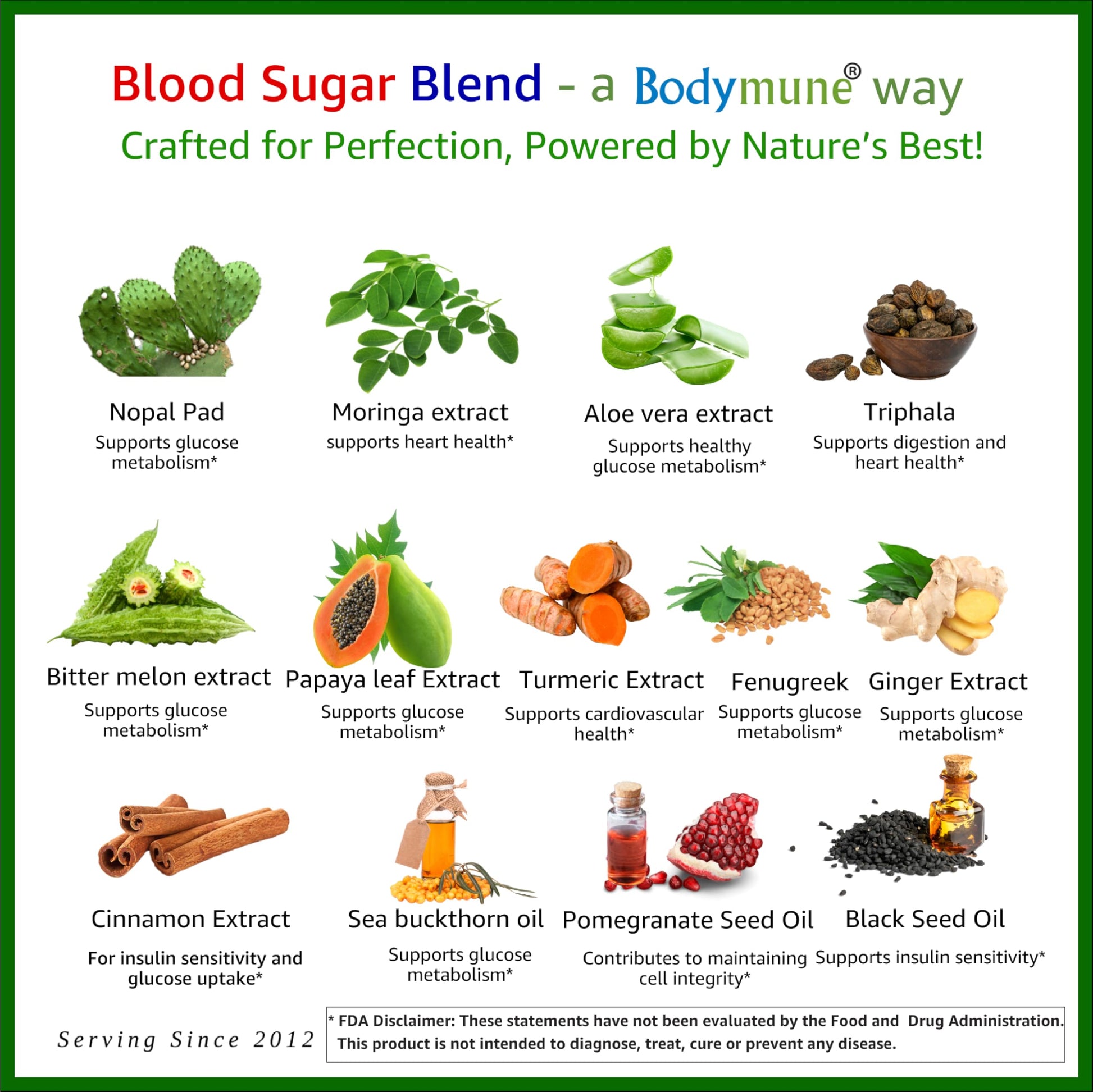 Bodymune USDA Organic Blood Sugar Blend | Supports Healthy Metabolism* | with Bitter Melon, Moringa, Aloe Vera, Nopal, Papaya Extracts & More | 60-Day Supply | Vegan & Non-GMO | USA-Made Bodymune uk supplements