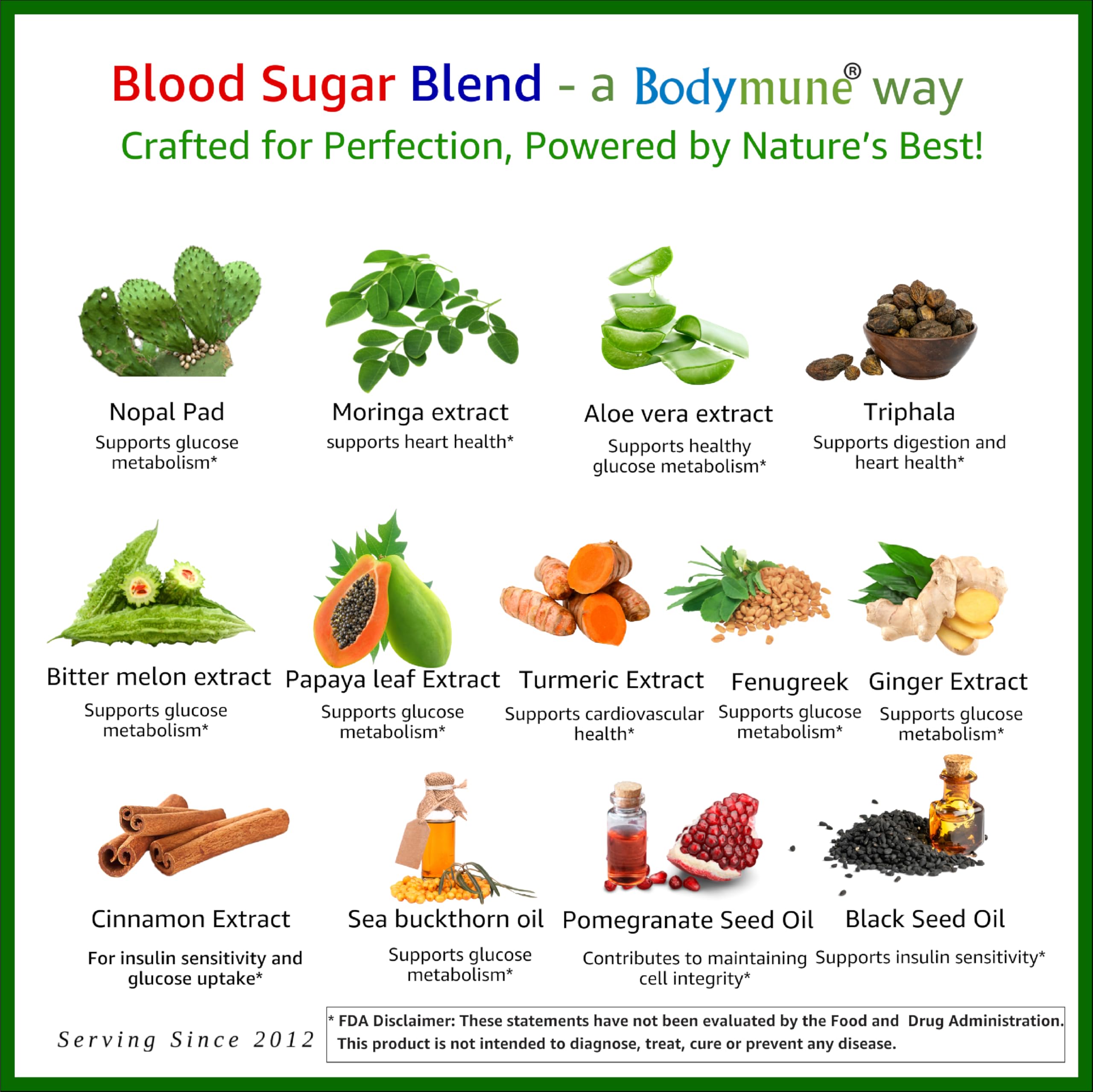 Bodymune USDA Organic Blood Sugar Blend | Supports Healthy Metabolism* | with Bitter Melon, Moringa, Aloe Vera, Nopal, Papaya Extracts & More | 60-Day Supply | Vegan & Non-GMO | USA-Made Bodymune uk supplements