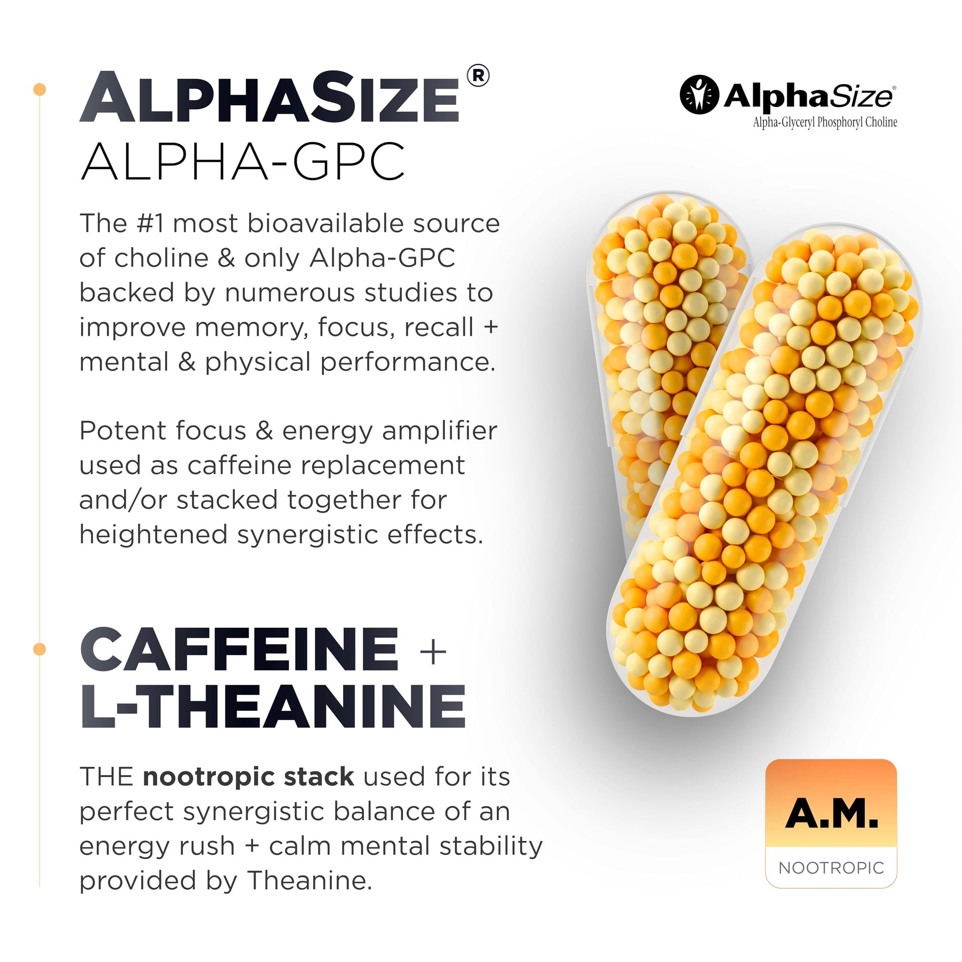 AMPM Nootropic Total Focus + Calm 9X Strength w. Caffeine, L-Theanine, Alpha GPC, L-Tyrosine, Ashwagandha - X-Release Energy Pills Nootropics Brain Support Supplements for Memory and Focus Supplement TERRA ELMNT uk supplements