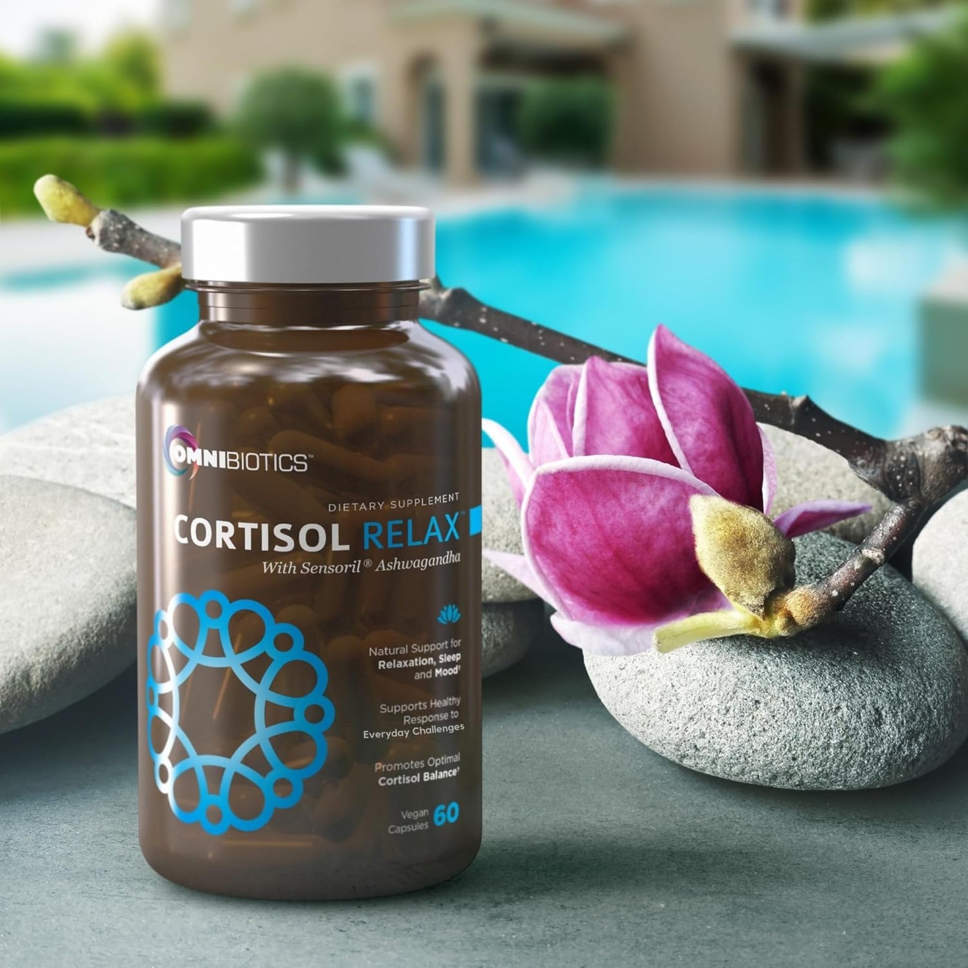 OmniBiotics Cortisol Supplement for Women and Men - High Cortisol Manager with Ashwagandha, L-Theanine, Magnolia Extract, Phosphatidylserine to Support Relaxation, Calm, Detox - 60 Vegan Capsules OmniBiotics uk supplements
