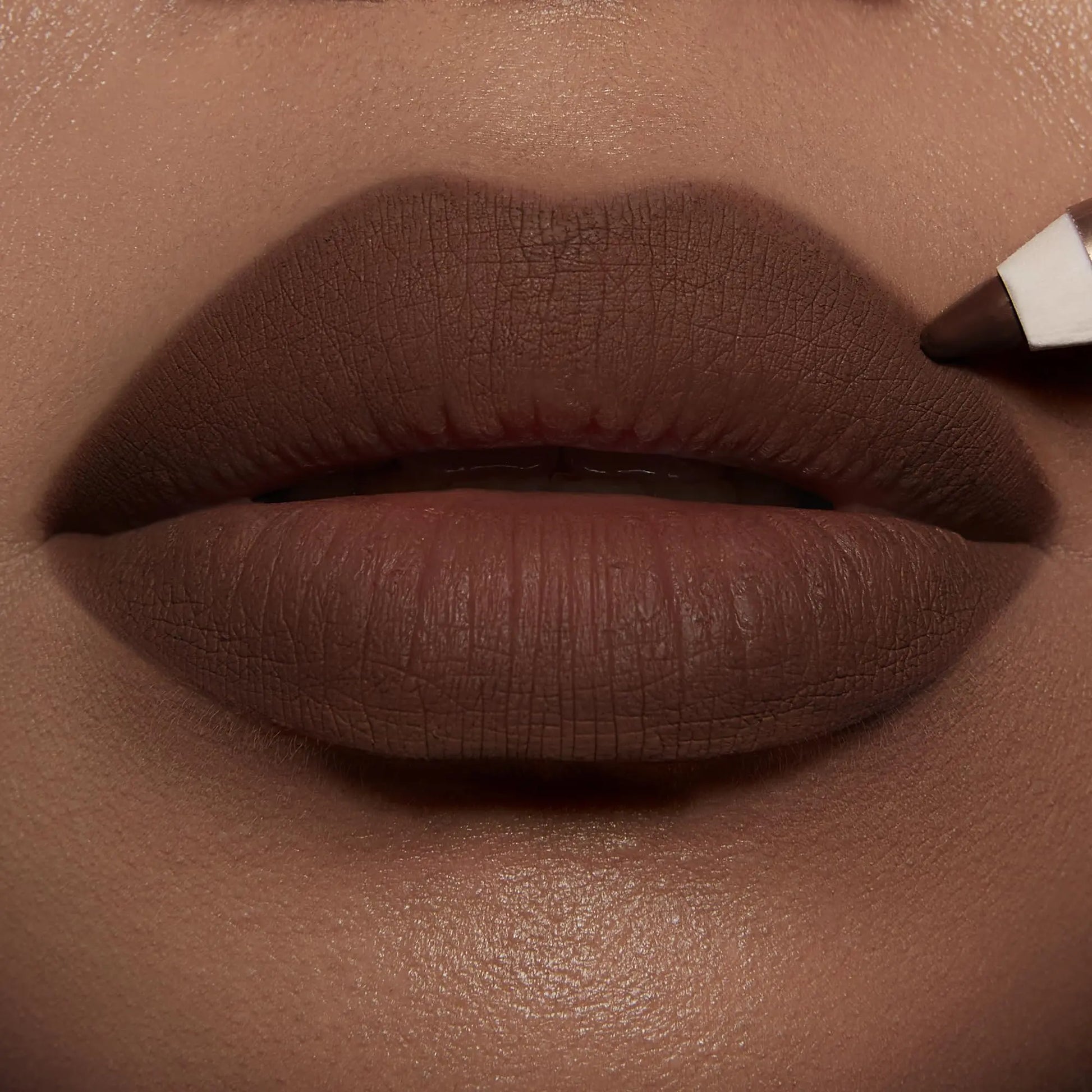 Charlotte Tilbury Lip Cheat Lip Liner Pencil - Gives Lips a Fuller-Looking, Defined Pout - Enriched with Jojoba Oil & Hyaluronic Acid - Waterproof, Smudge-Proof & Transfer-Proof - Foxy Brown Charlotte Tilbury uk supplements