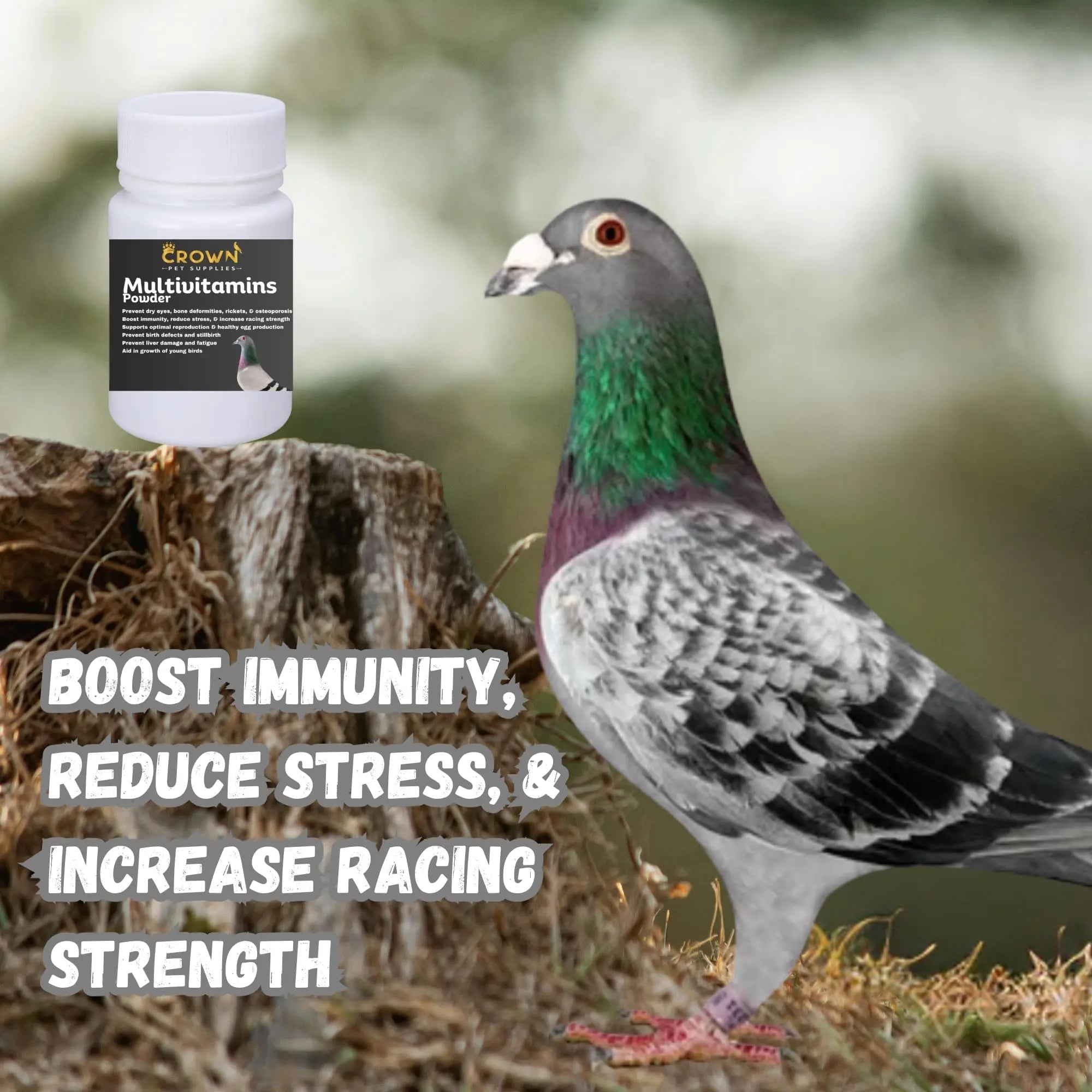 Multivitamin Powder for Pigeons – Ultimate Vitamin Formula for Racing & Breeding – Supports Growth, Bone Strength, Reproductive Health & Feather Health Crown Pet Supplies uk supplements