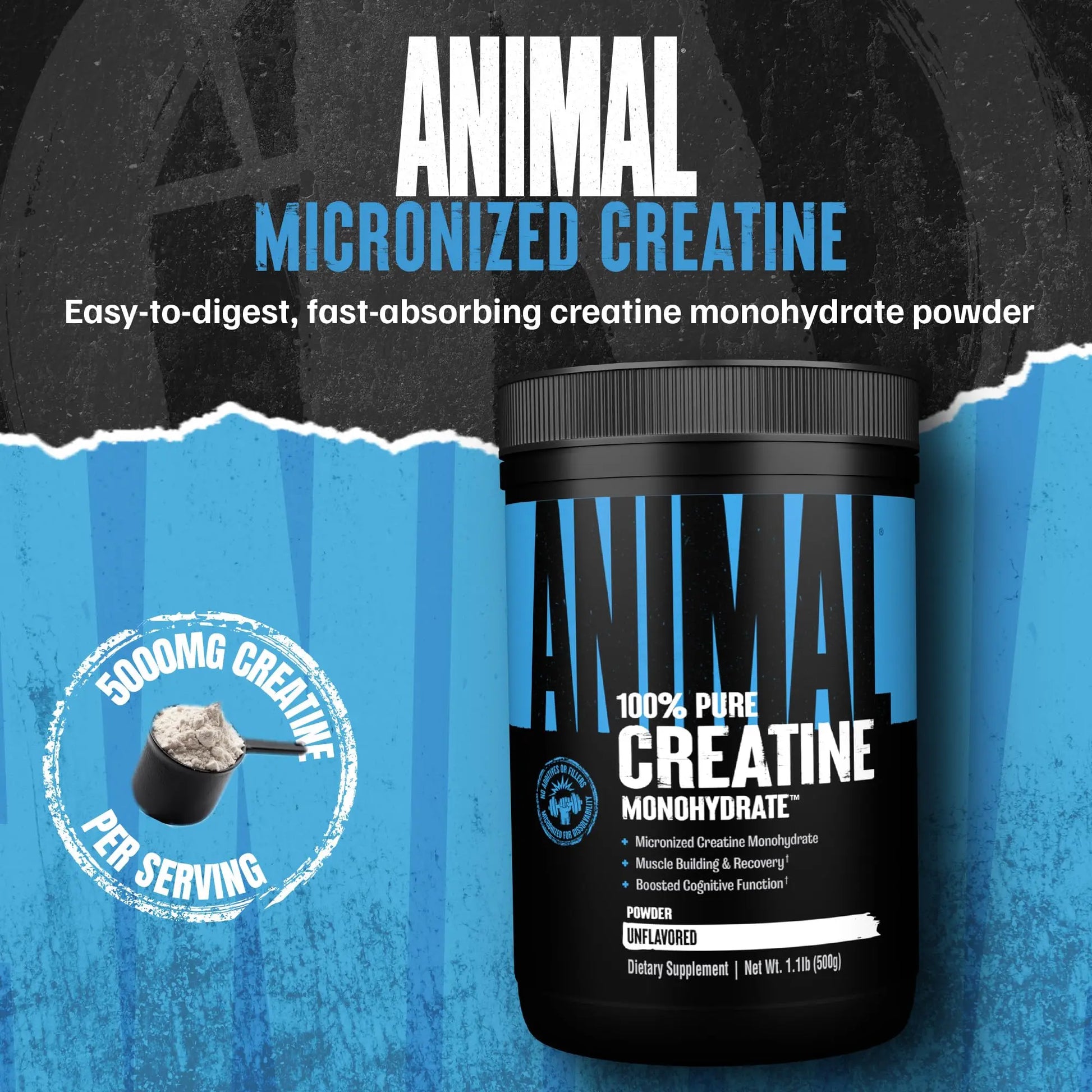 Animal Creatine Monohydrate Powder - Micronized Creatine for Women and Men, Supports Muscle Growth, Strength, Endurance, Recovery and ATP Production, Animal uk supplements
