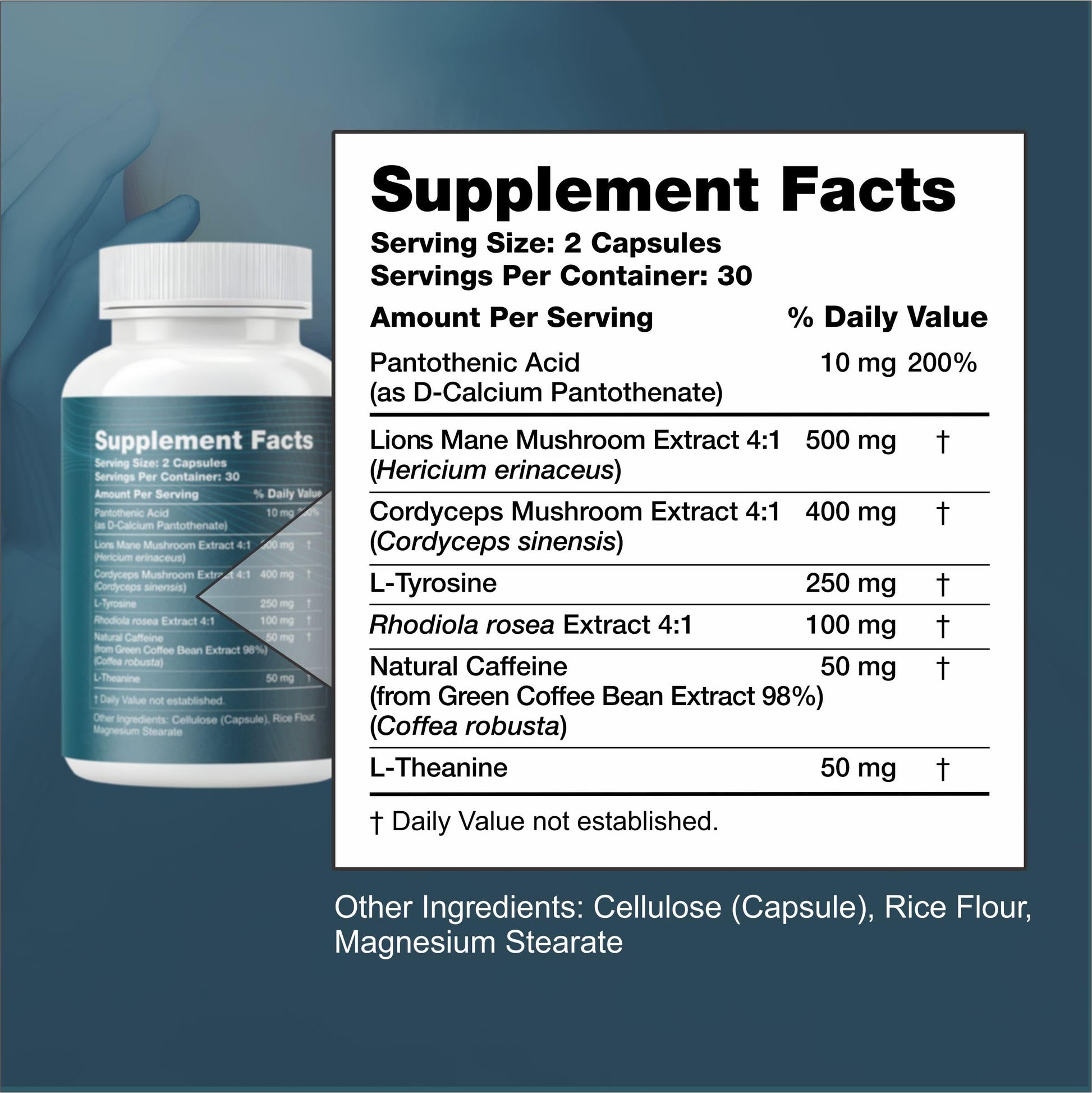 Nootropic Brain Supplement with Lion’s Mane Mushroom, Cordyceps & Rhodiola Rosea Extract - Focus and Energy Supplement, Adaptogen for Brain Health, Mental Clarity, Memory & Mood Support - 60 Capsules Reset+Rise uk supplements
