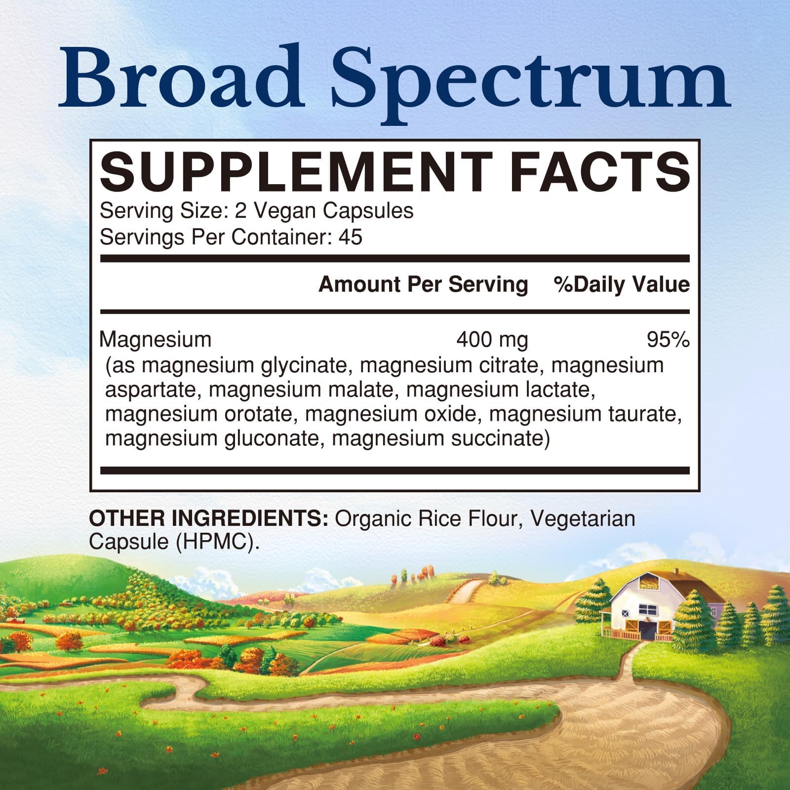 Vitalitown 10 in 1 Magnesium Complex Supplement - 400mg Elemental Magnesium Chelated with Glycinate, Citrate, Malate, Taurate & More - for Sleep Heart Energy - Non-GMO, Vegan, 90 Caps Vitalitown uk supplements