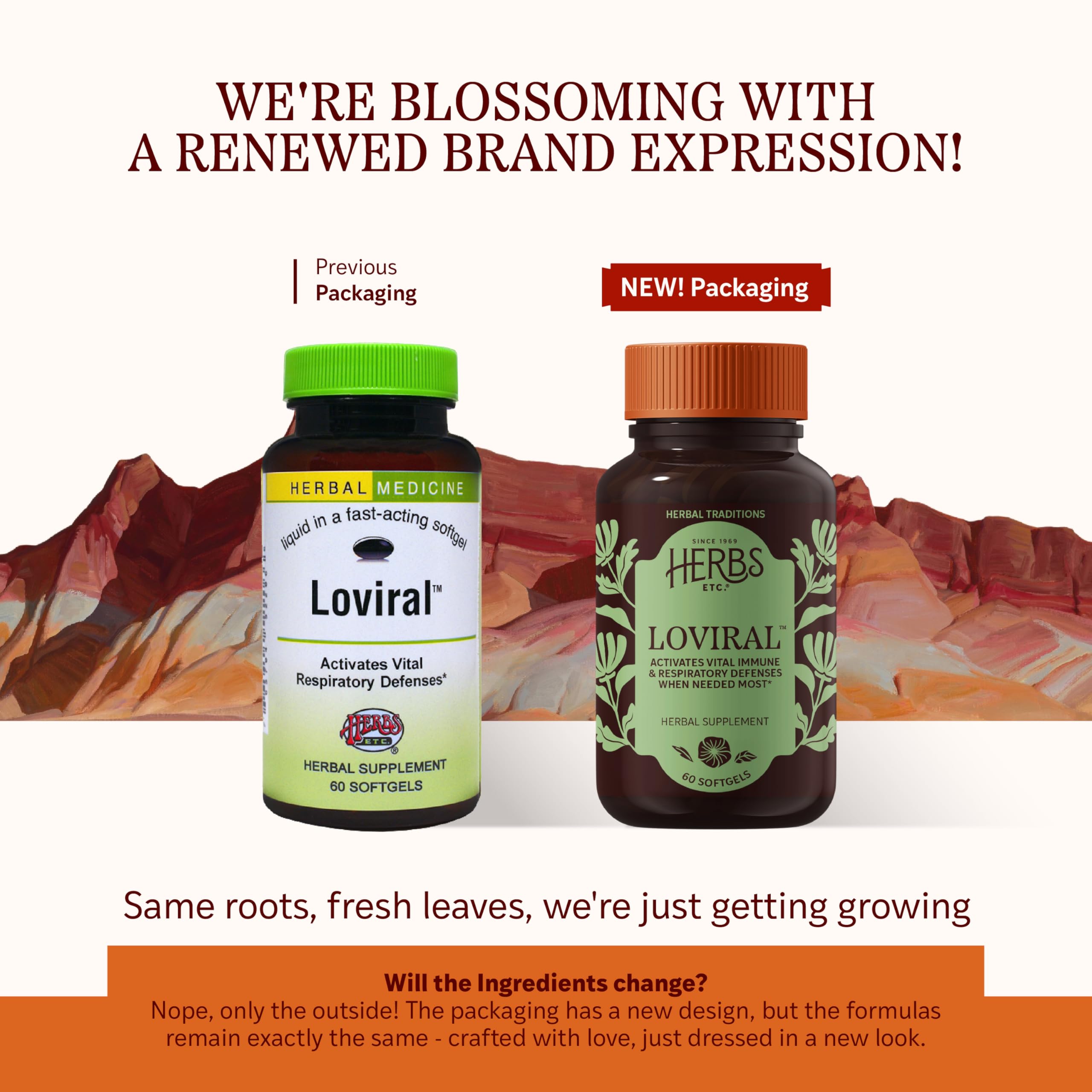Herbs Etc. Loviral - Lung Health Supplement for Respiratory Defense & Support - Herbal Supplement with Lomatium, Pelargonium & OSHA - Gluten-Free - 60 Softgels (60 Servings) Herbs Etc. uk supplements