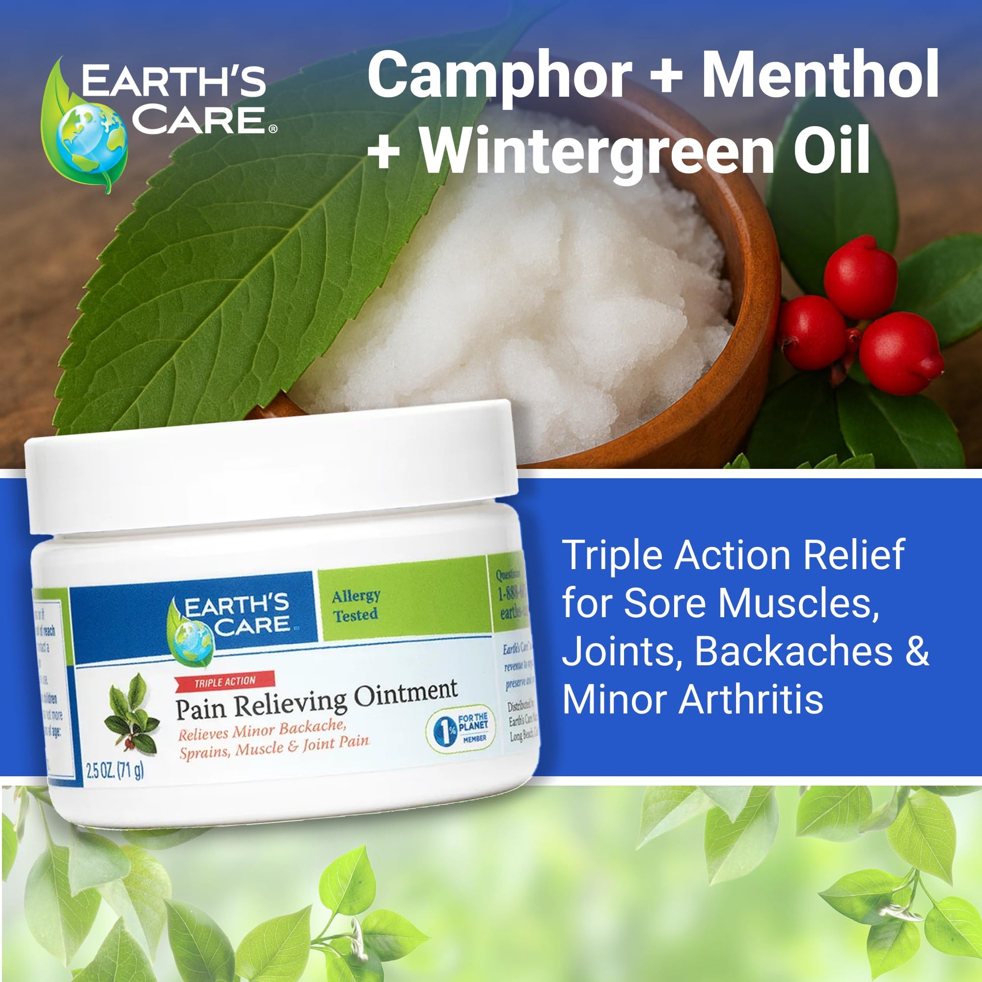 Earth's Care Pain Relieving Ointment - Triple Action Muscle and Joint Cream - Topical Analgesic 2.5 oz. (71 g) Earth's Care uk supplements