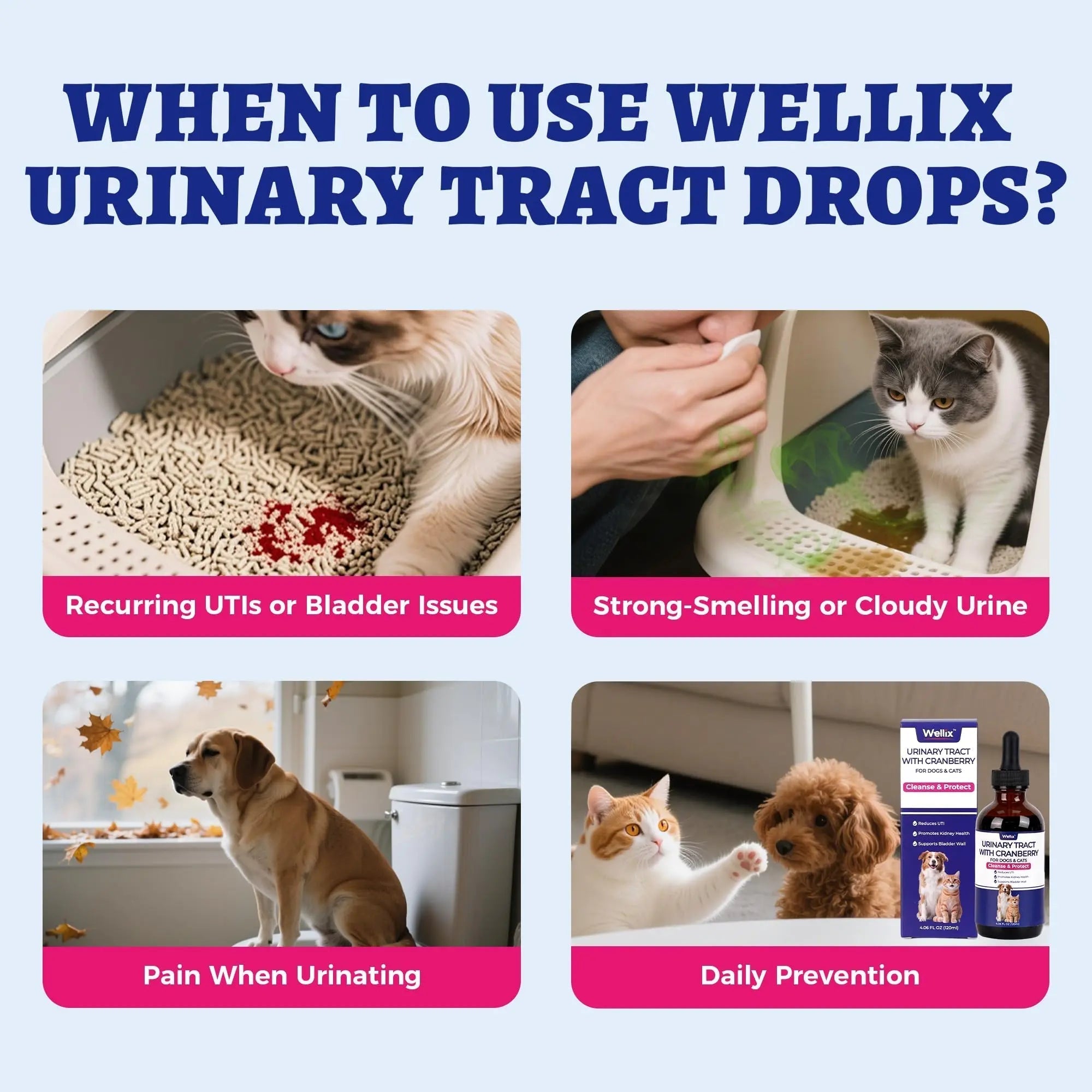 4oz Wellix Natural Cat & Dog UTI Treatment Drops,Cat & Dog Urinary Tract Infection Treatment - Cranberry & D-Mannose for Dogs & Cats - Kidney Health Supplement Wellix uk supplements
