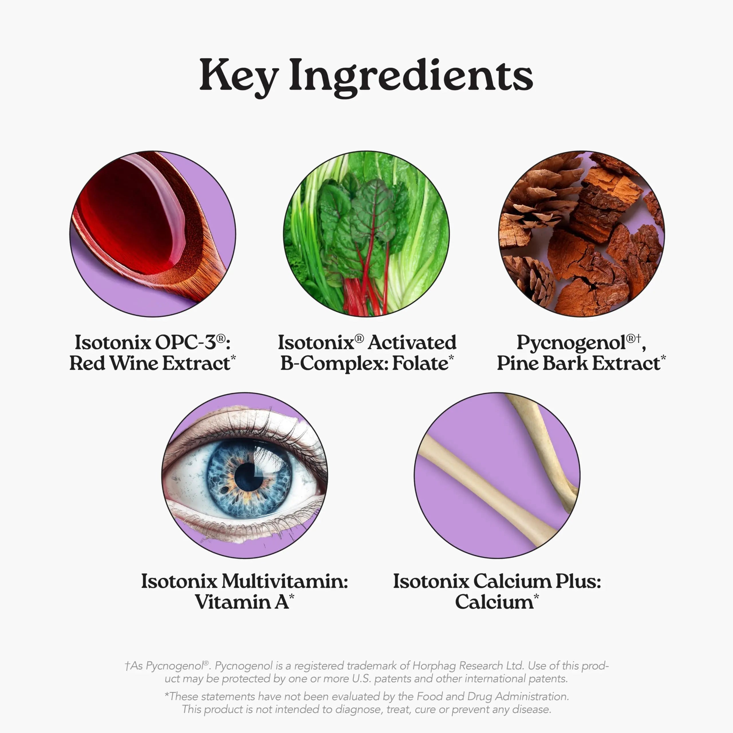 Isotonix® Daily Essentials Multivitamin Powder Packets – 4-in-1 Formula with Multivitamin, Activated B-Complex, Calcium Plus Isotonix uk supplements
