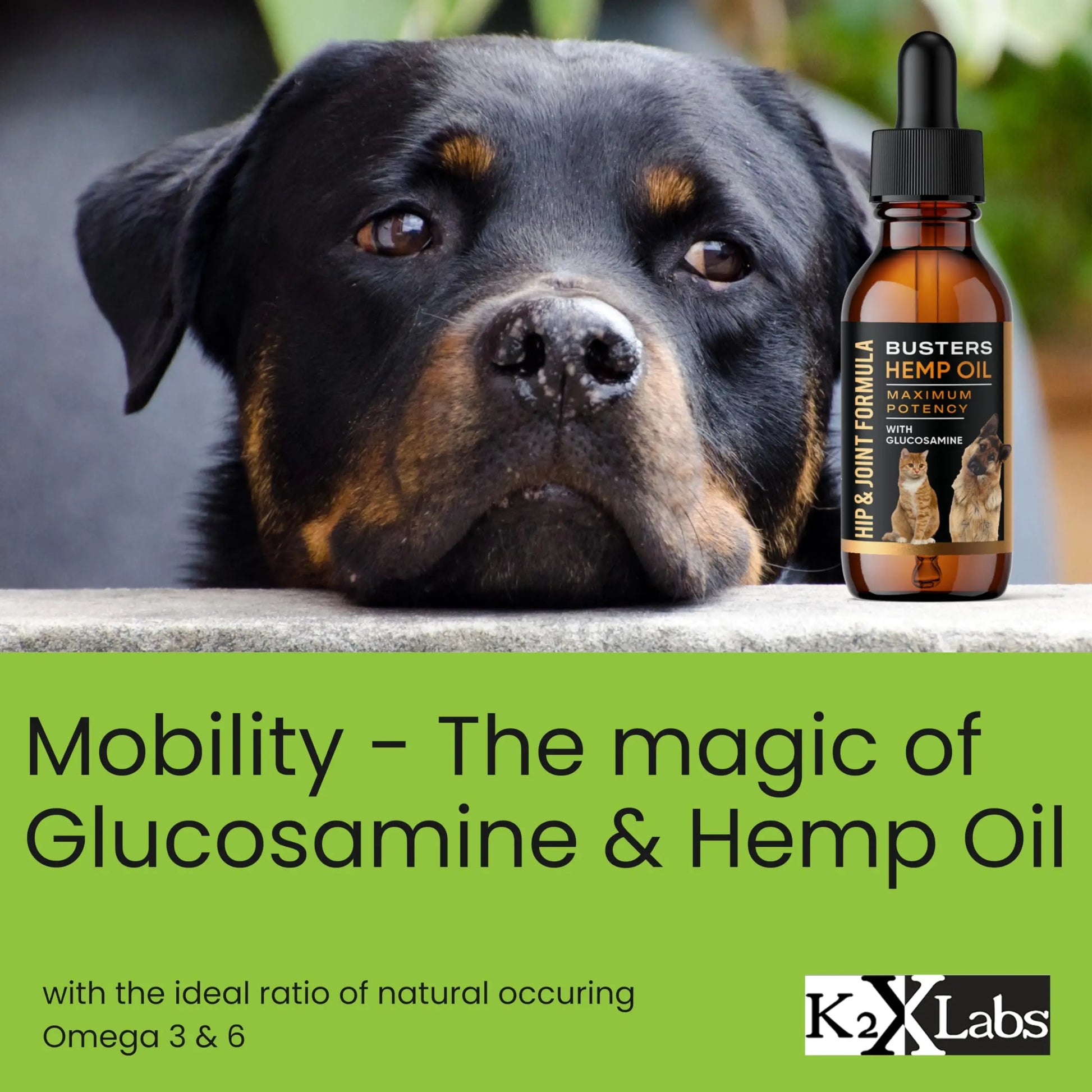 Busters Hip and Joint Hemp Oil Formula enriched with Glucosamine, Pain Relief for Dogs and Pets, Arthritis, and Advanced Mobility Support K2xLabs uk supplements