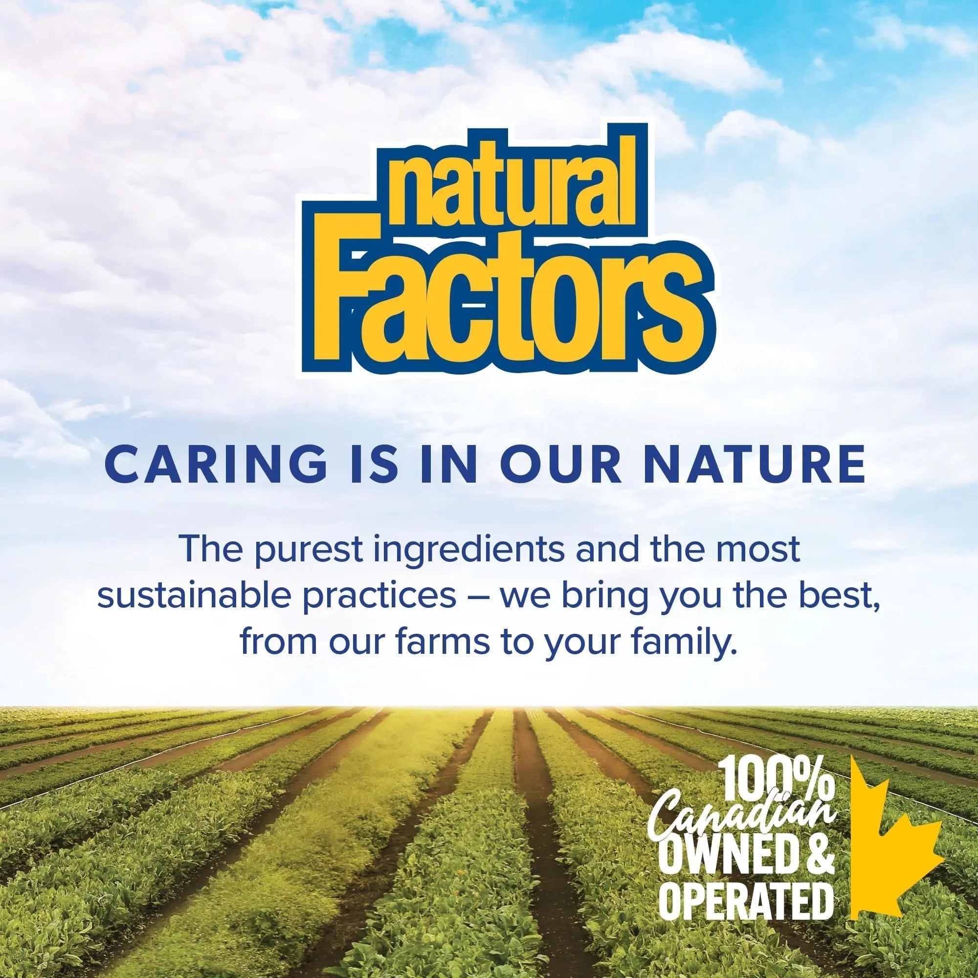 Natural Factors B12 Methylcobalamin, 10,000 mcg, Cherry, 30 Chewable Tablets Natural Factors uk supplements