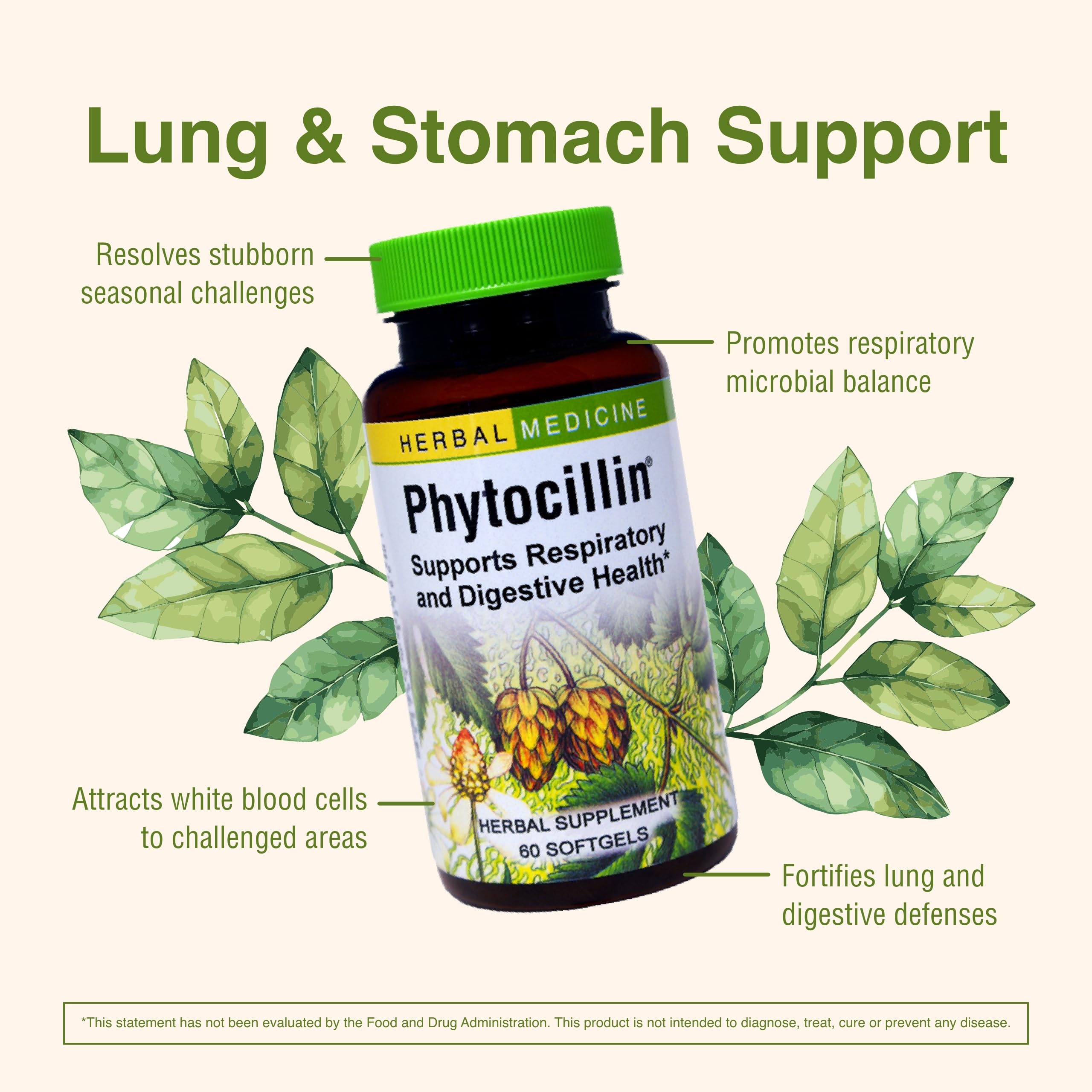 Herbs Etc. Phytocillin - Respiratory & Digestive Health Support Supplement - Herbal Formula to Support Digestion - Support Healthy Breathing - 60 Softgels (60 Servings) Herbs Etc. uk supplements