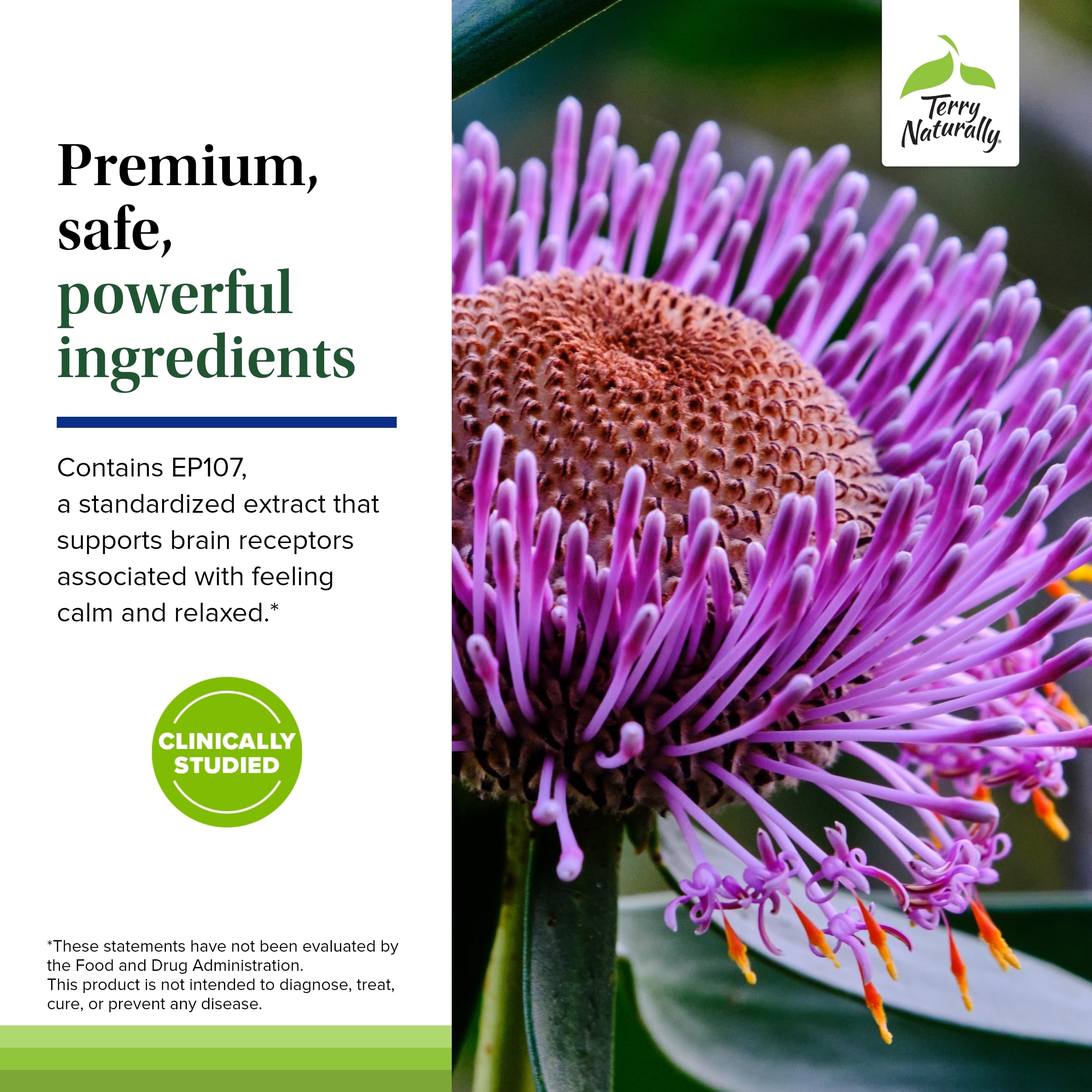 Terry Naturally AnxioCalm - Calming Support Supplement - Supports Against Occasional Tension & Aids Calm Feelings with Narrow-Leaved Coneflower - Non-Drowsy Supplement - 75 Tablets Terry Naturally uk supplements