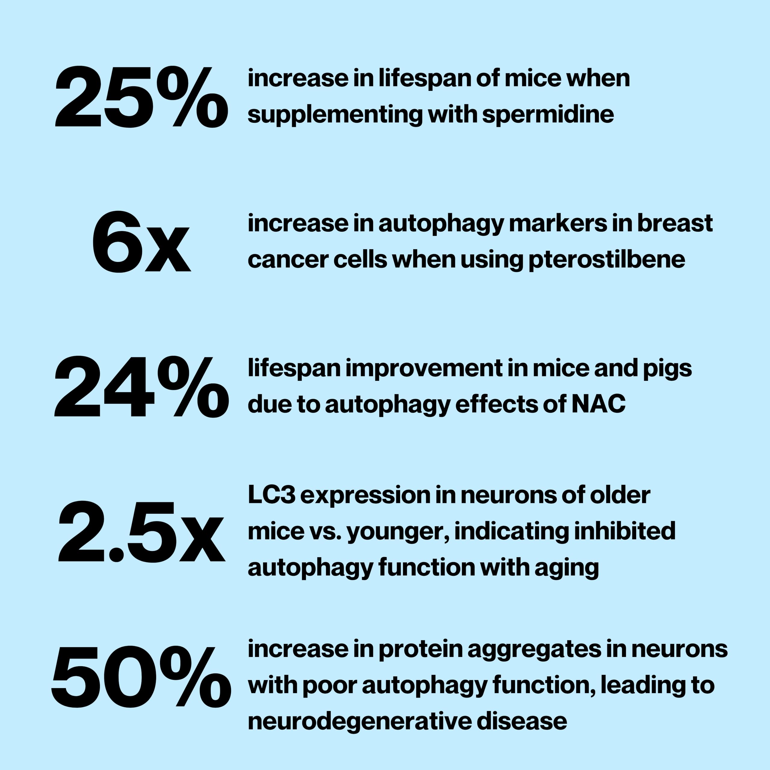 Celly Autophagy Activator | Longevity Supplement for Cellular Nutrition and Healthy Aging | Promotes Cell Renewal with Spermidine, Pterostilbene, Fisetin, and NAC | Made in USA & 3rd Party Tested Celly uk supplements