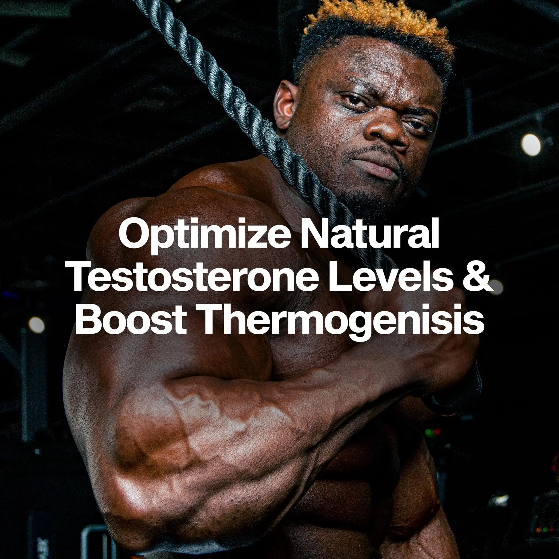 MuscleTech Thermogenic Booster for Men, AlphaTest Thermo - T-Boost Mens Supplement with Tribulus Terrestris - Male Gym Workout Supplements for Muscle Growth MuscleTech uk supplements