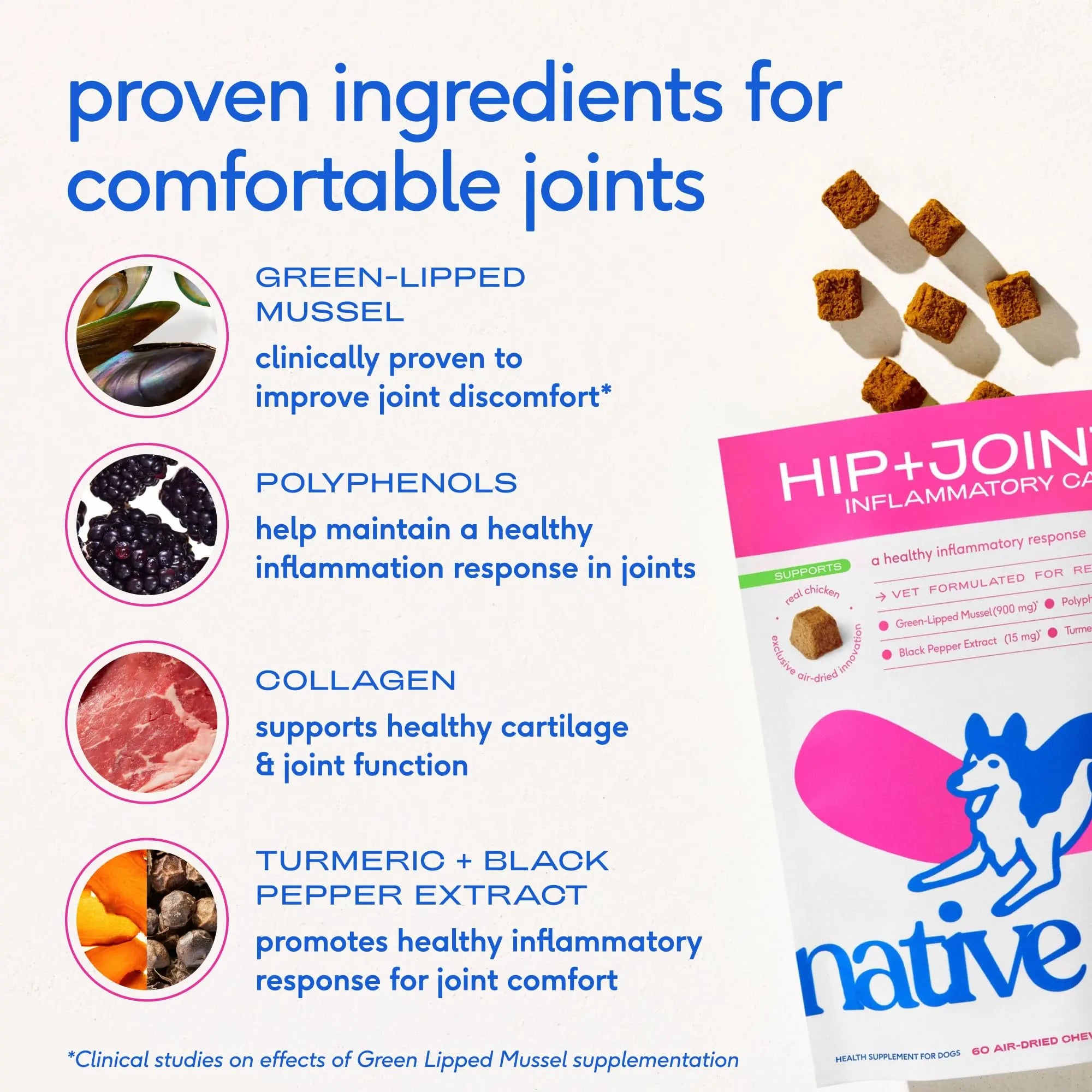 Native Pet Inflammatory Care - Pain Relief for Dogs - Green-Lipped Mussel, Turmeric & Collagen for Dogs - Hip and Joint Supplement Supports Healthy Inflammatory Response & Joint Comfort - 60 Chews Native Pet uk supplements