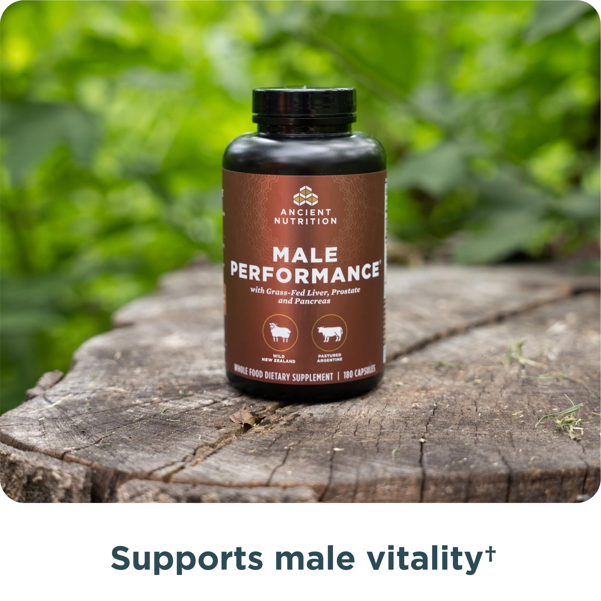 Ancient Nutrition Organ Supplements for Men, Grass-Fed and Wild Organ Complex Capsules, Liver, Prostate, Pancreas Supports Male Performance, Healthy Aging, 180 Ct Ancient Nutrition uk supplements